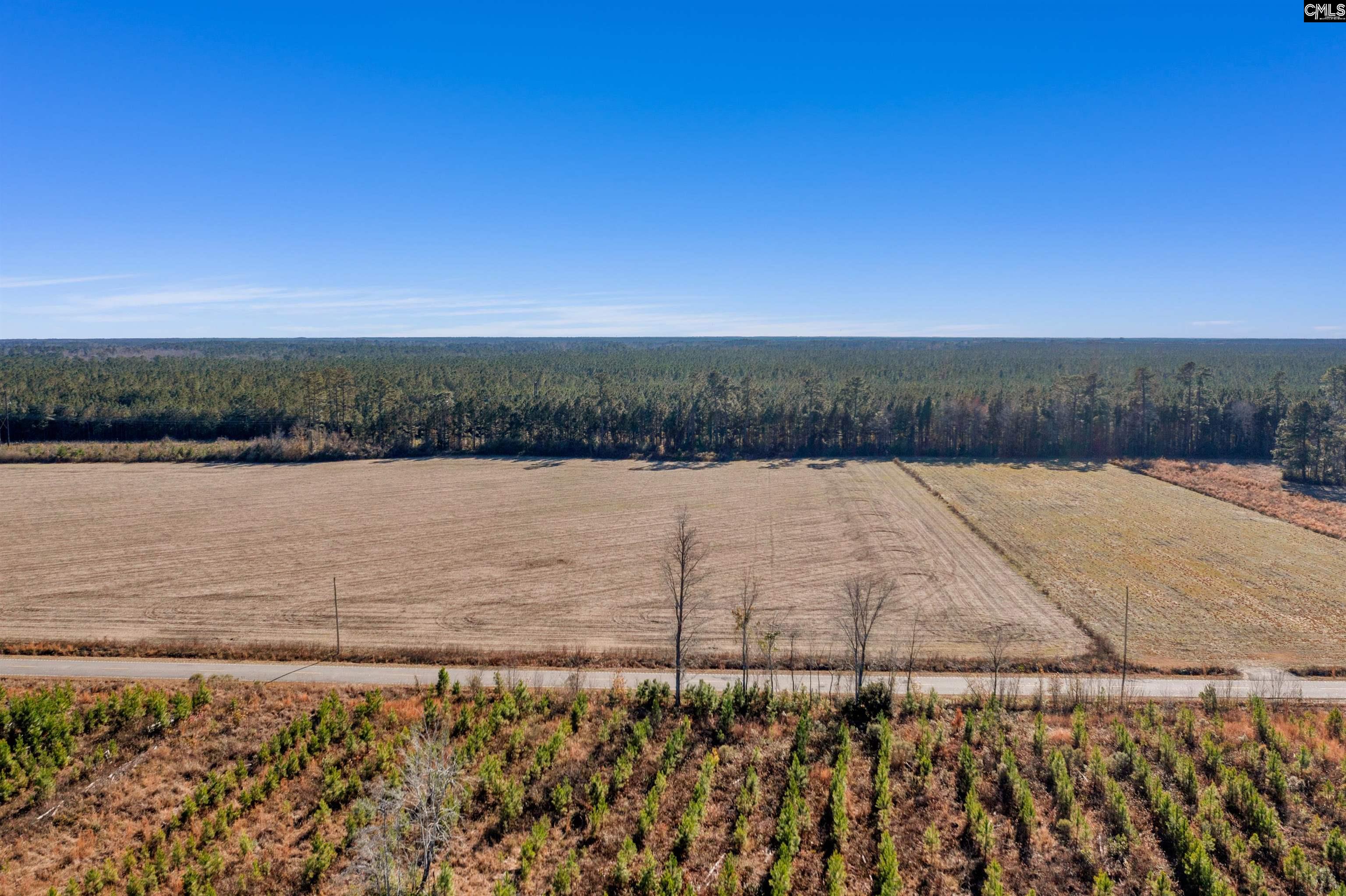1745 Williams Hill Road #2, Hemingway, South Carolina image 6