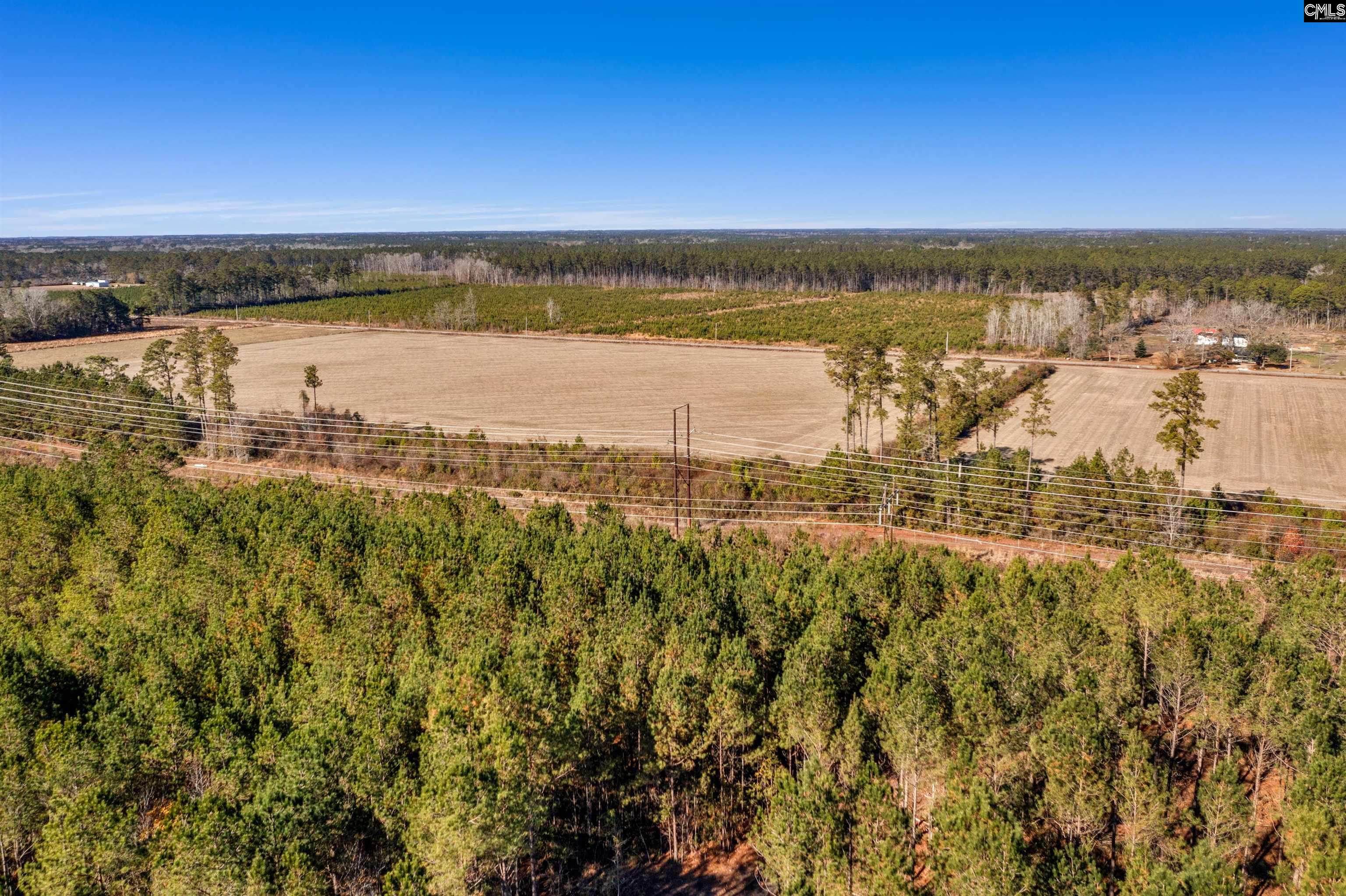 1745 Williams Hill Road #2, Hemingway, South Carolina image 7