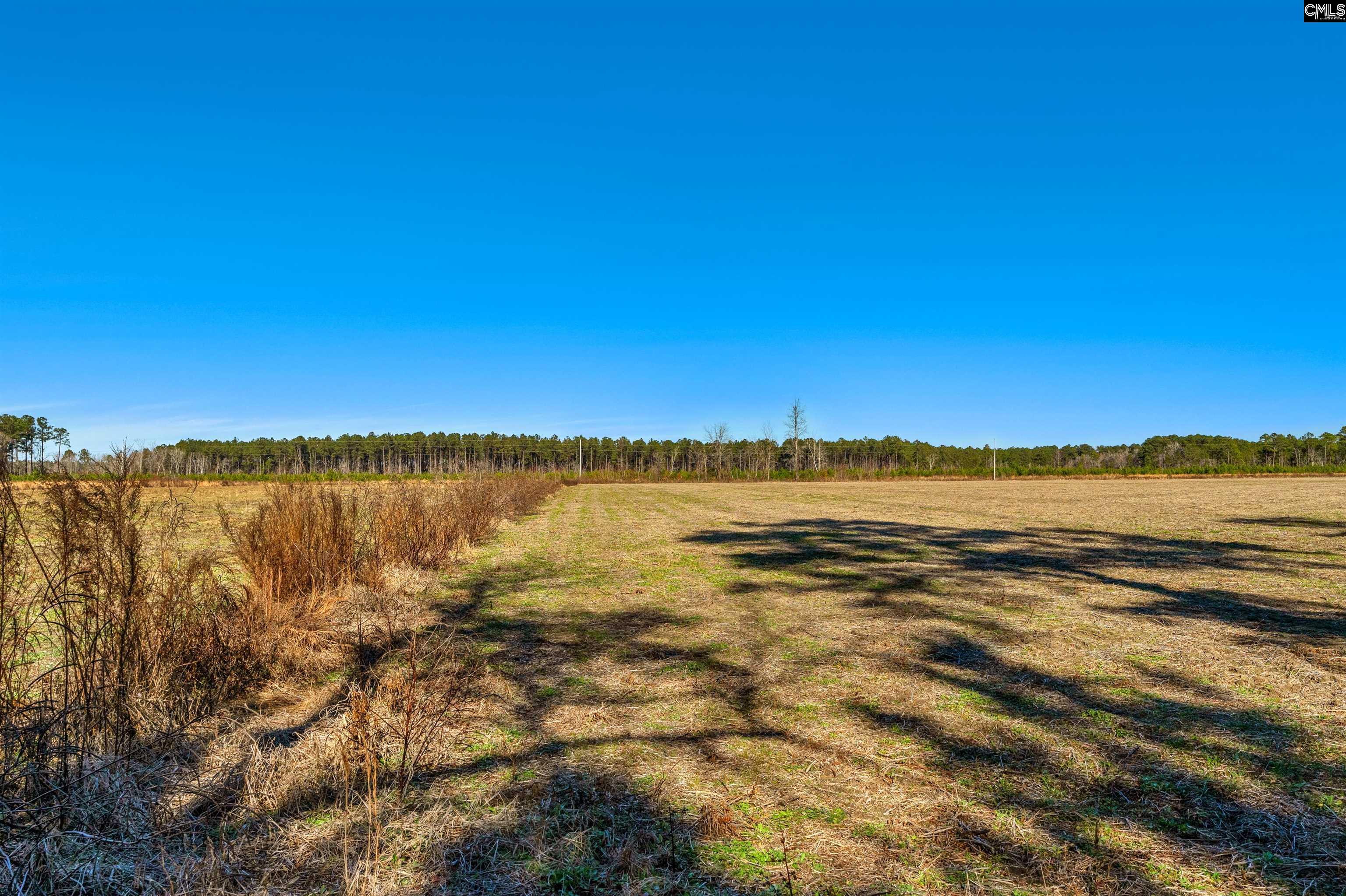 1745 Williams Hill Road #2, Hemingway, South Carolina image 8