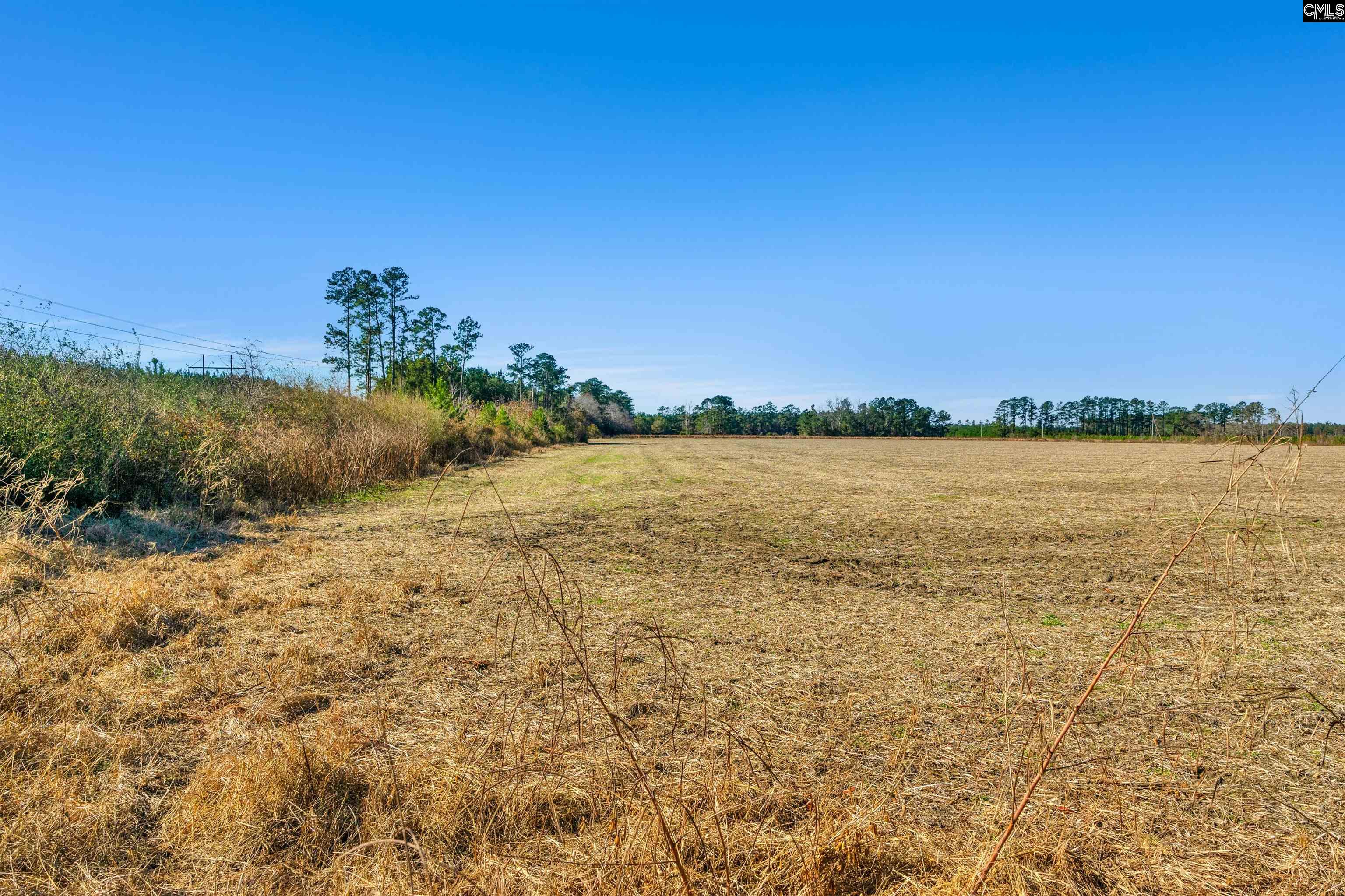 1745 Williams Hill Road #2, Hemingway, South Carolina image 9