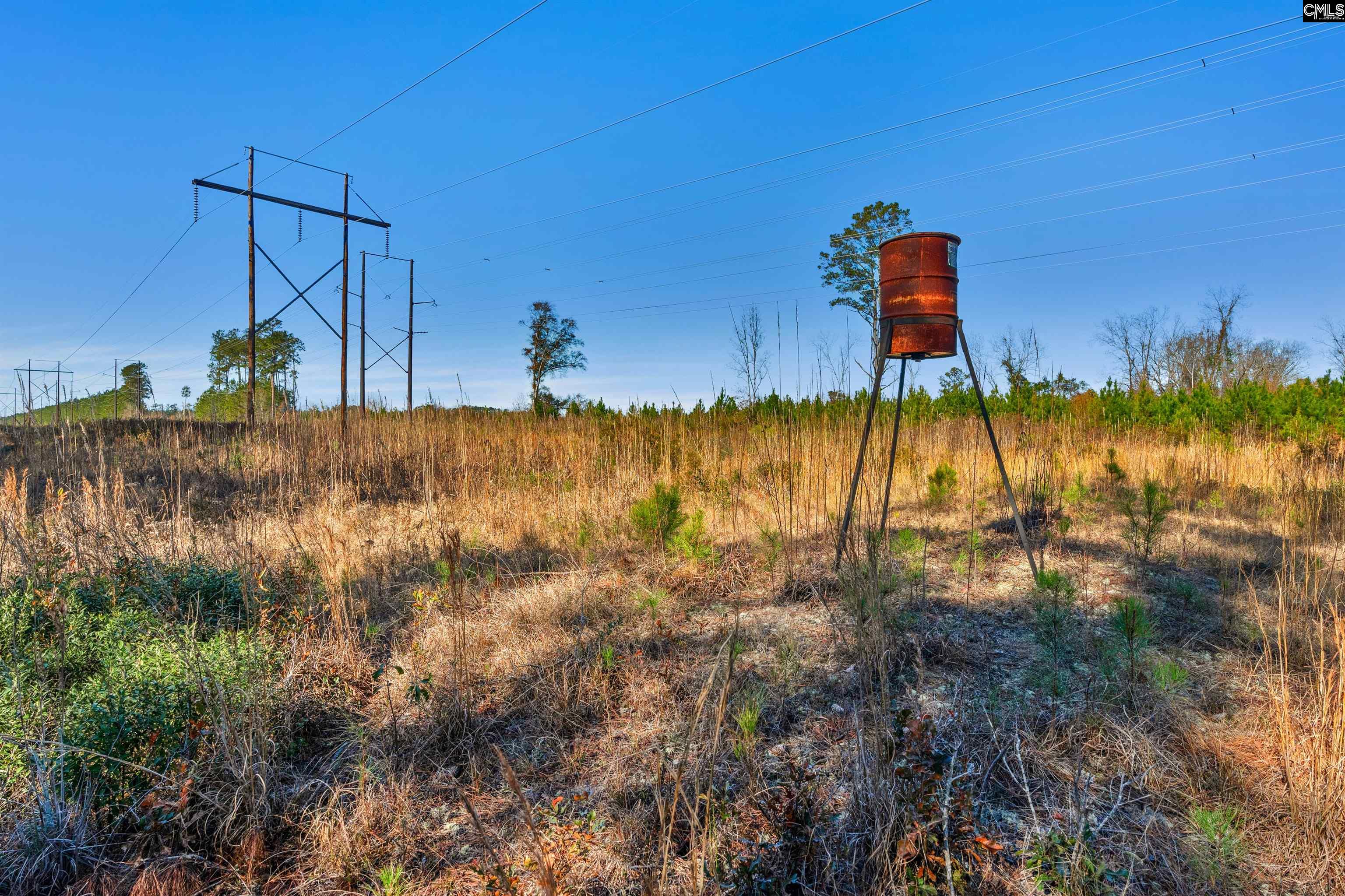 1745 Williams Hill Road #5, Hemingway, South Carolina image 12
