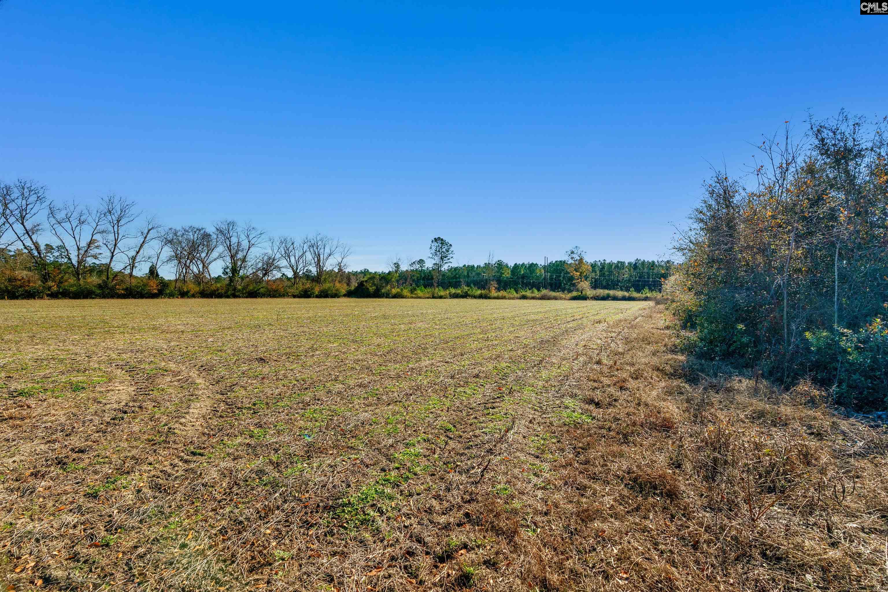 1745 Williams Hill Road #5, Hemingway, South Carolina image 13