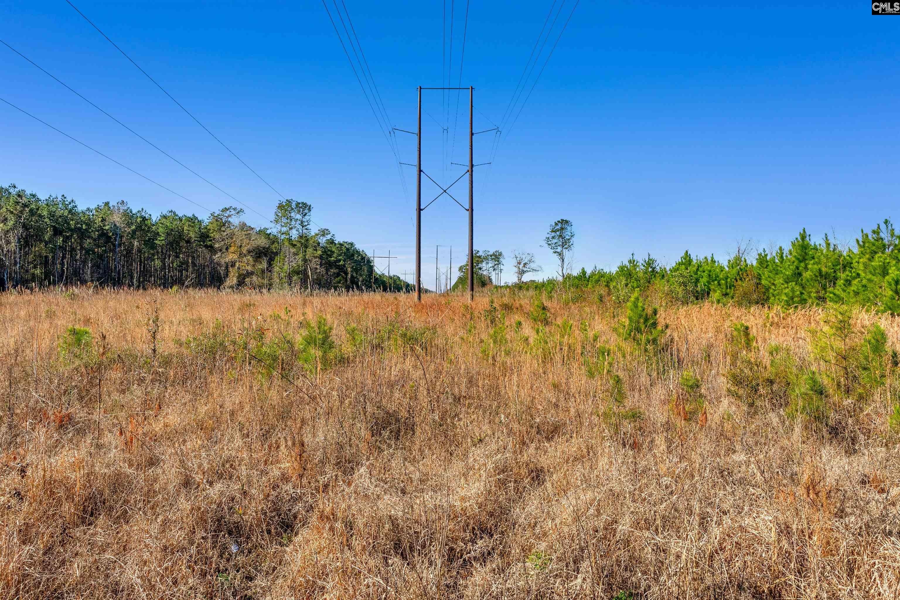 1745 Williams Hill Road #5, Hemingway, South Carolina image 15