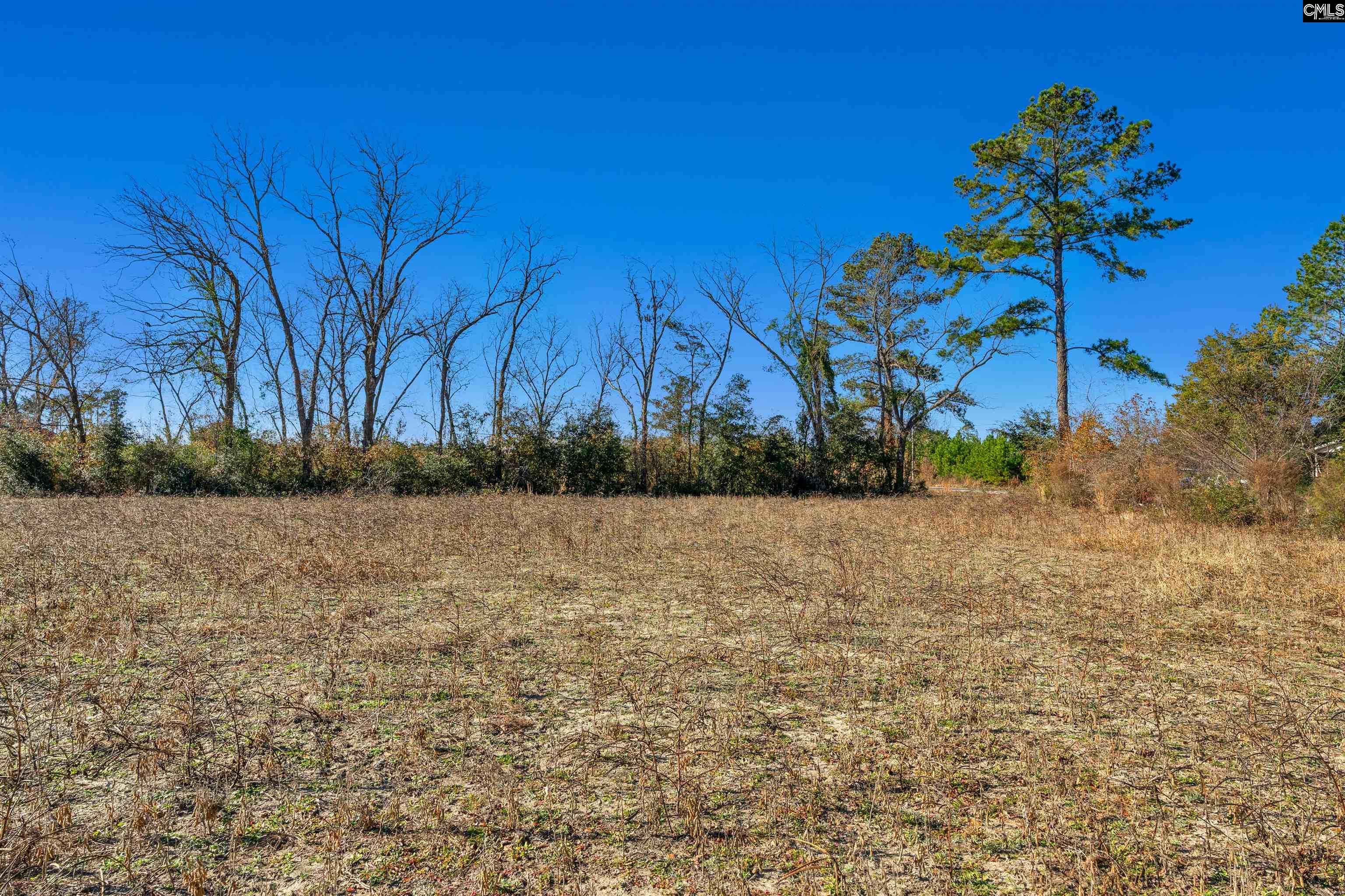 1745 Williams Hill Road #5, Hemingway, South Carolina image 18