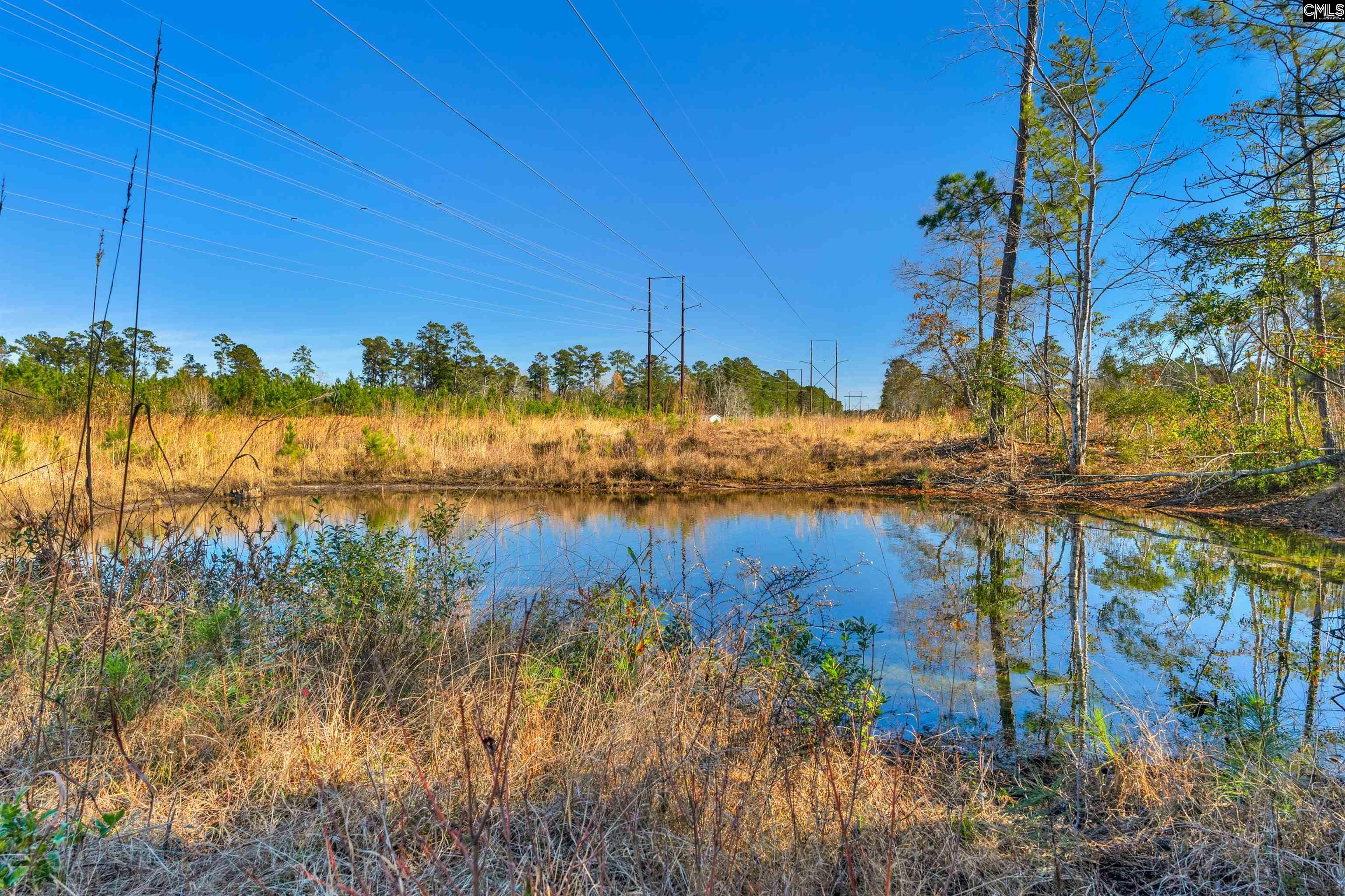 1745 Williams Hill Road #5, Hemingway, South Carolina image 19