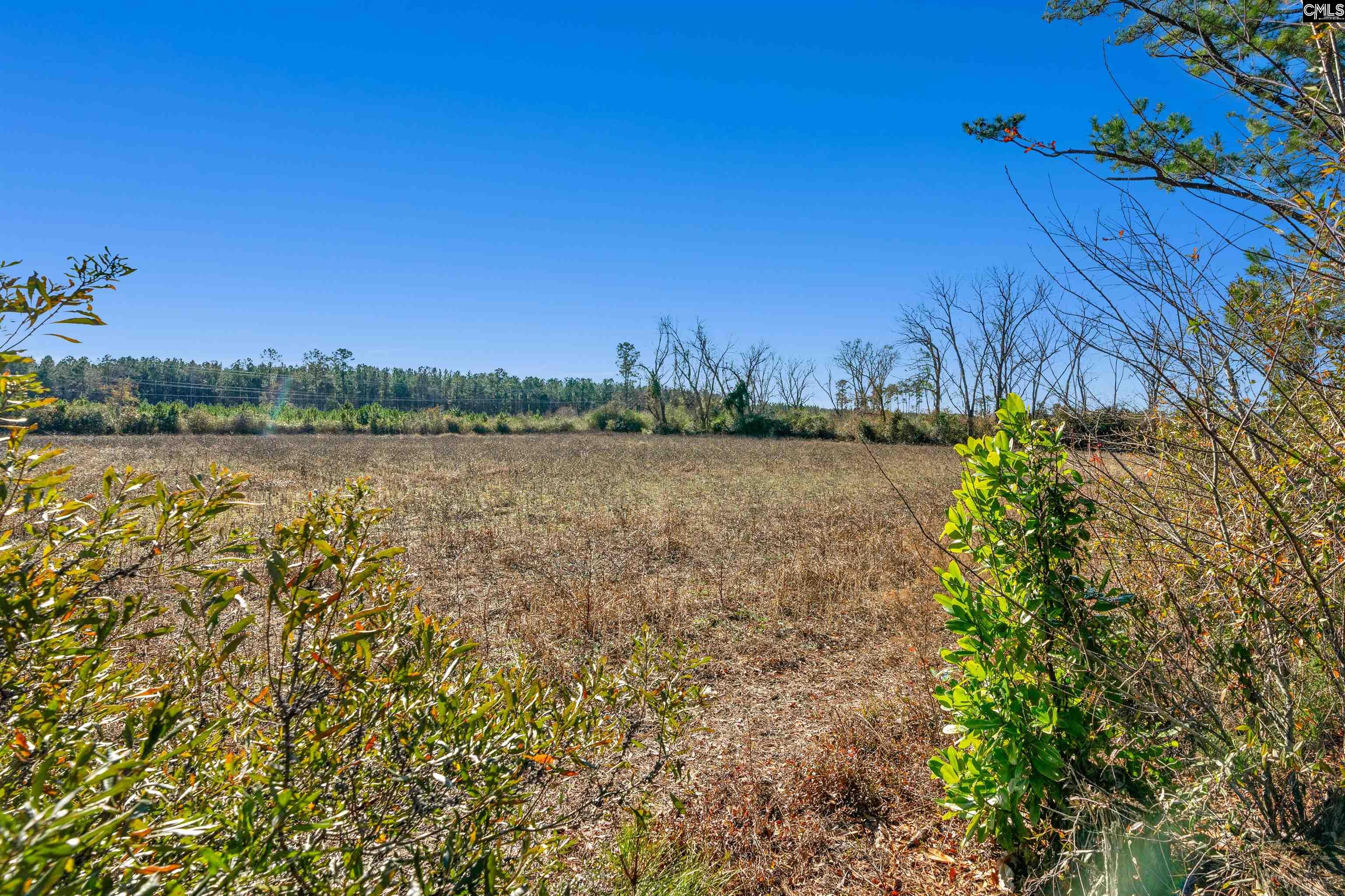 1745 Williams Hill Road #5, Hemingway, South Carolina image 20