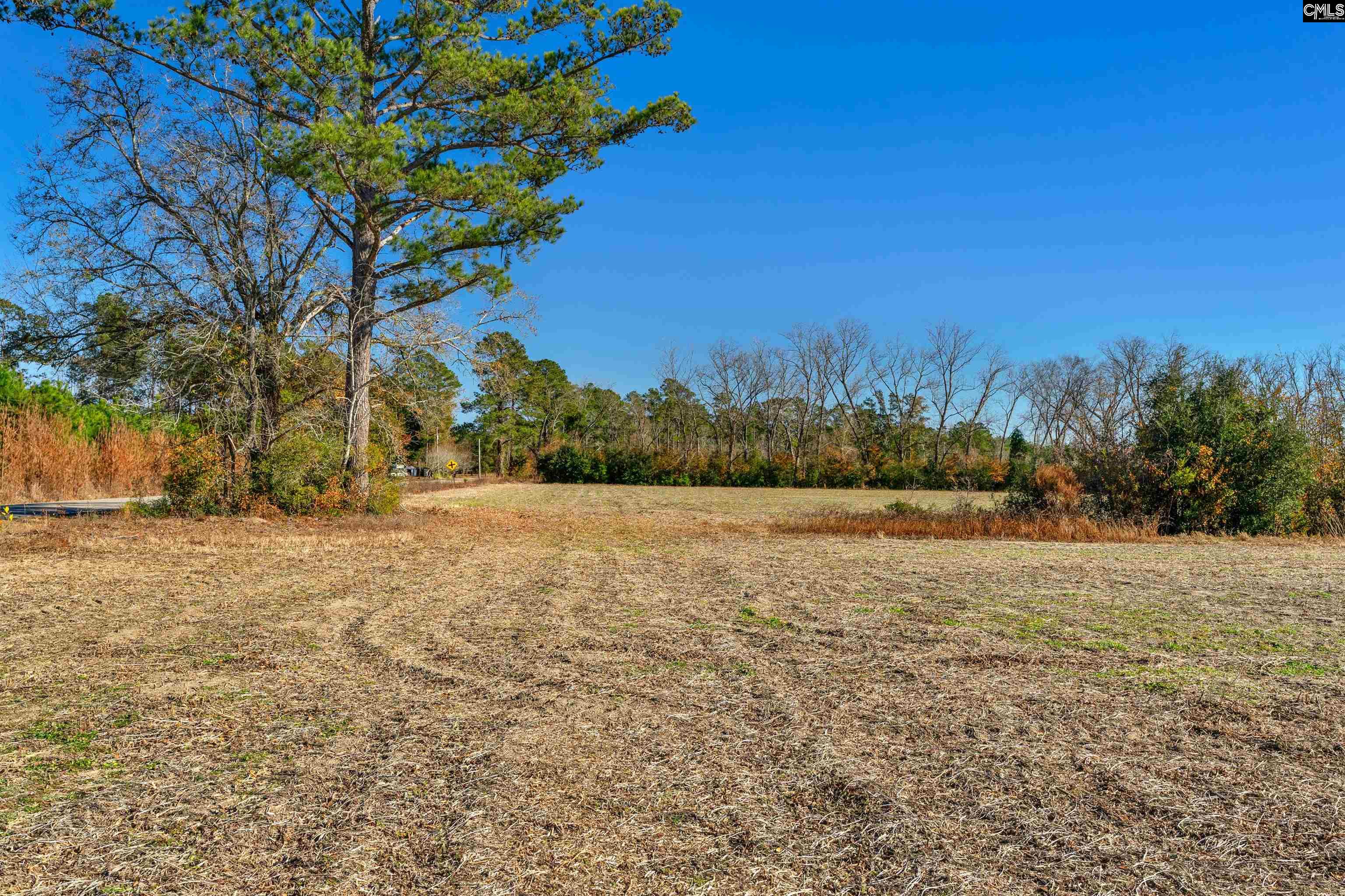 1745 Williams Hill Road #5, Hemingway, South Carolina image 3