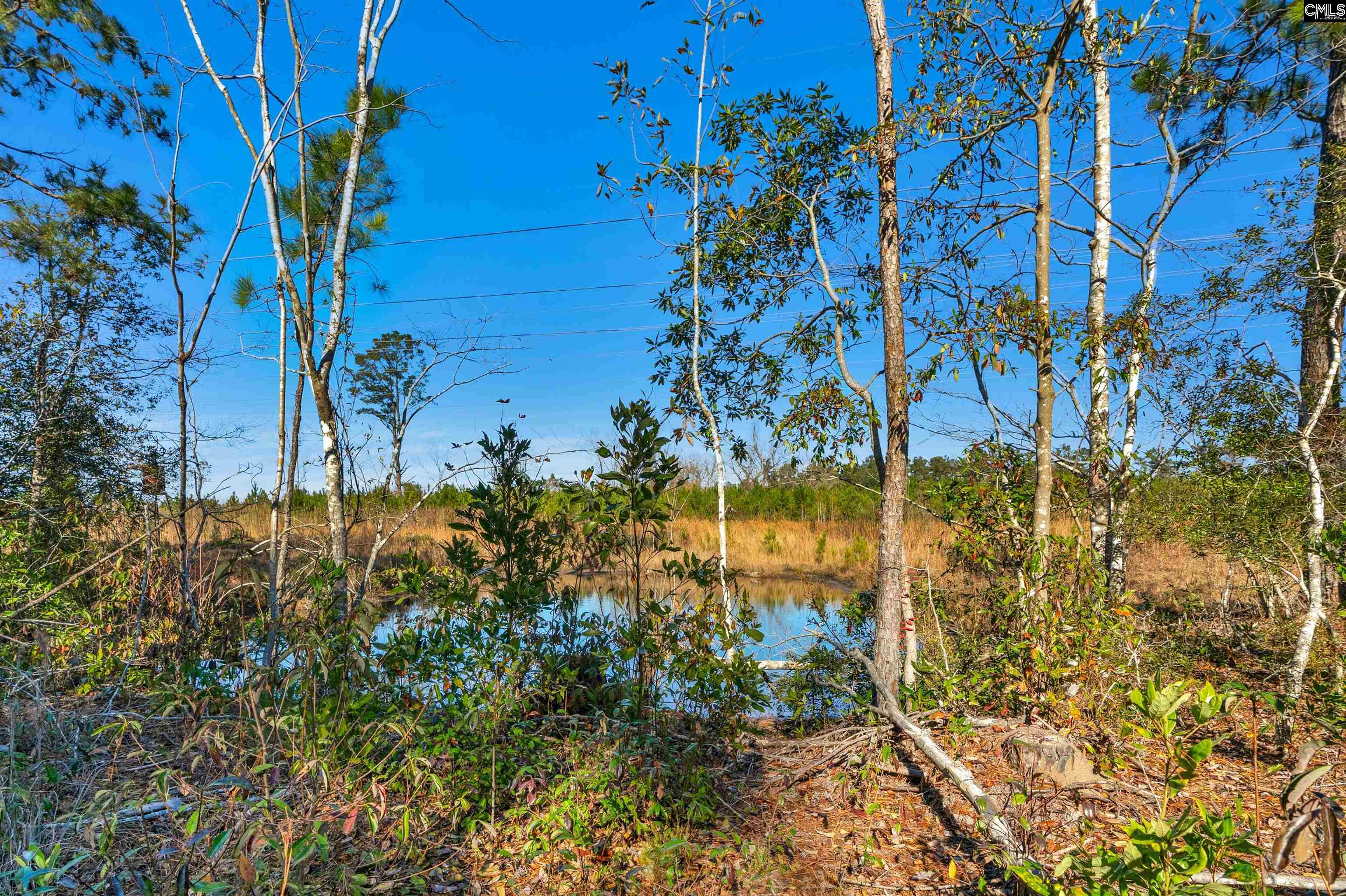 1745 Williams Hill Road #5, Hemingway, South Carolina image 21