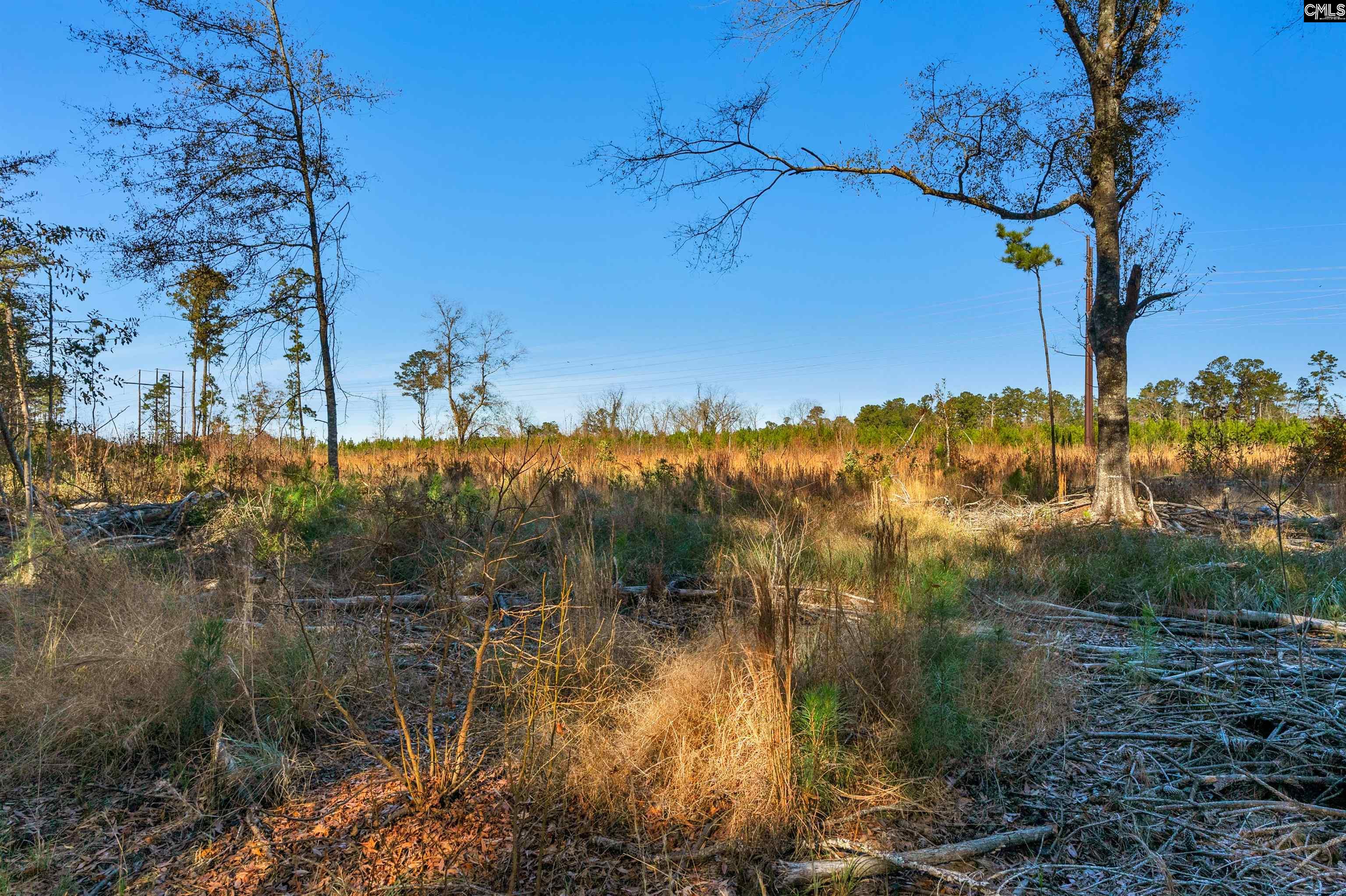 1745 Williams Hill Road #5, Hemingway, South Carolina image 22