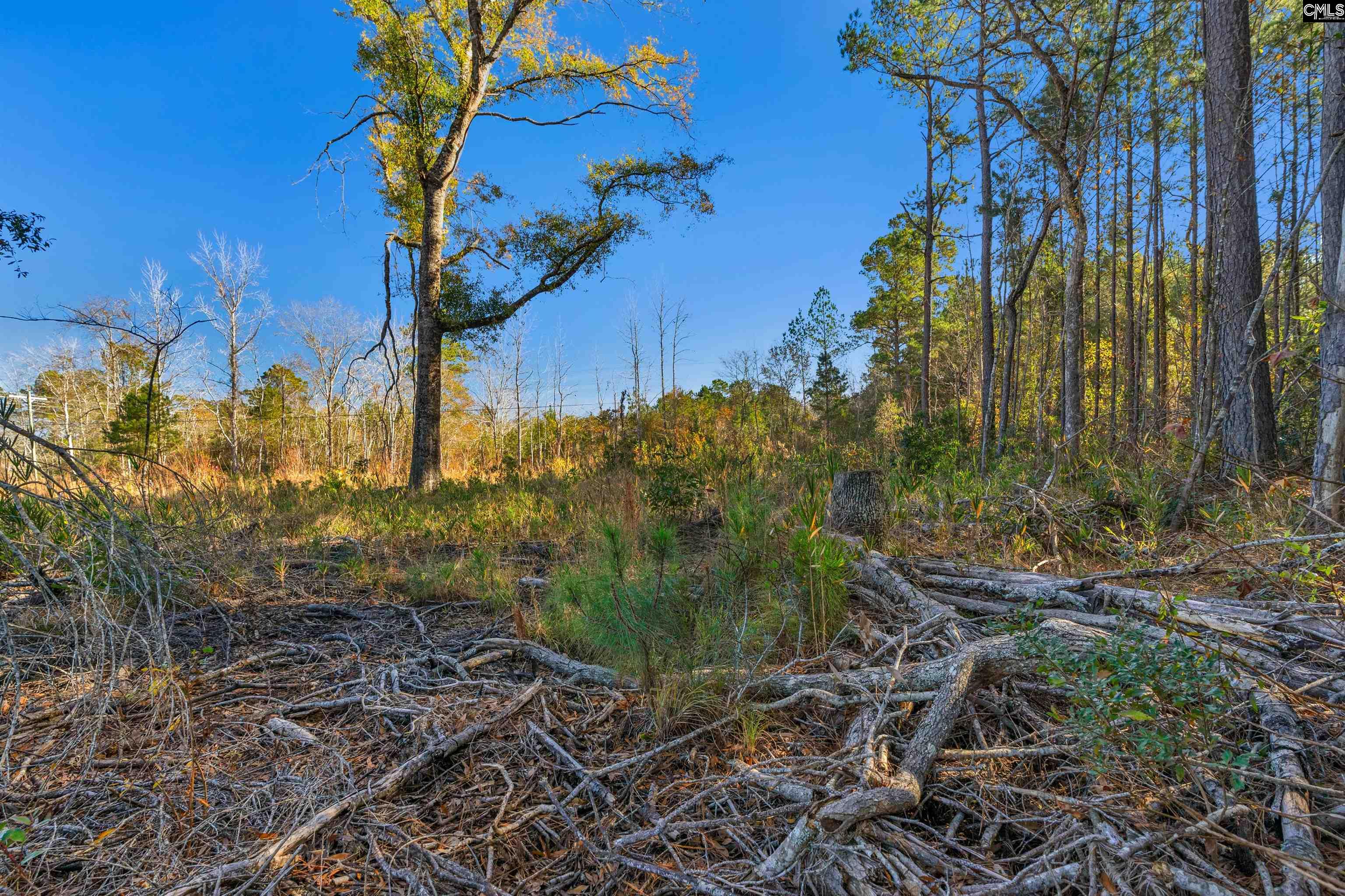 1745 Williams Hill Road #5, Hemingway, South Carolina image 23