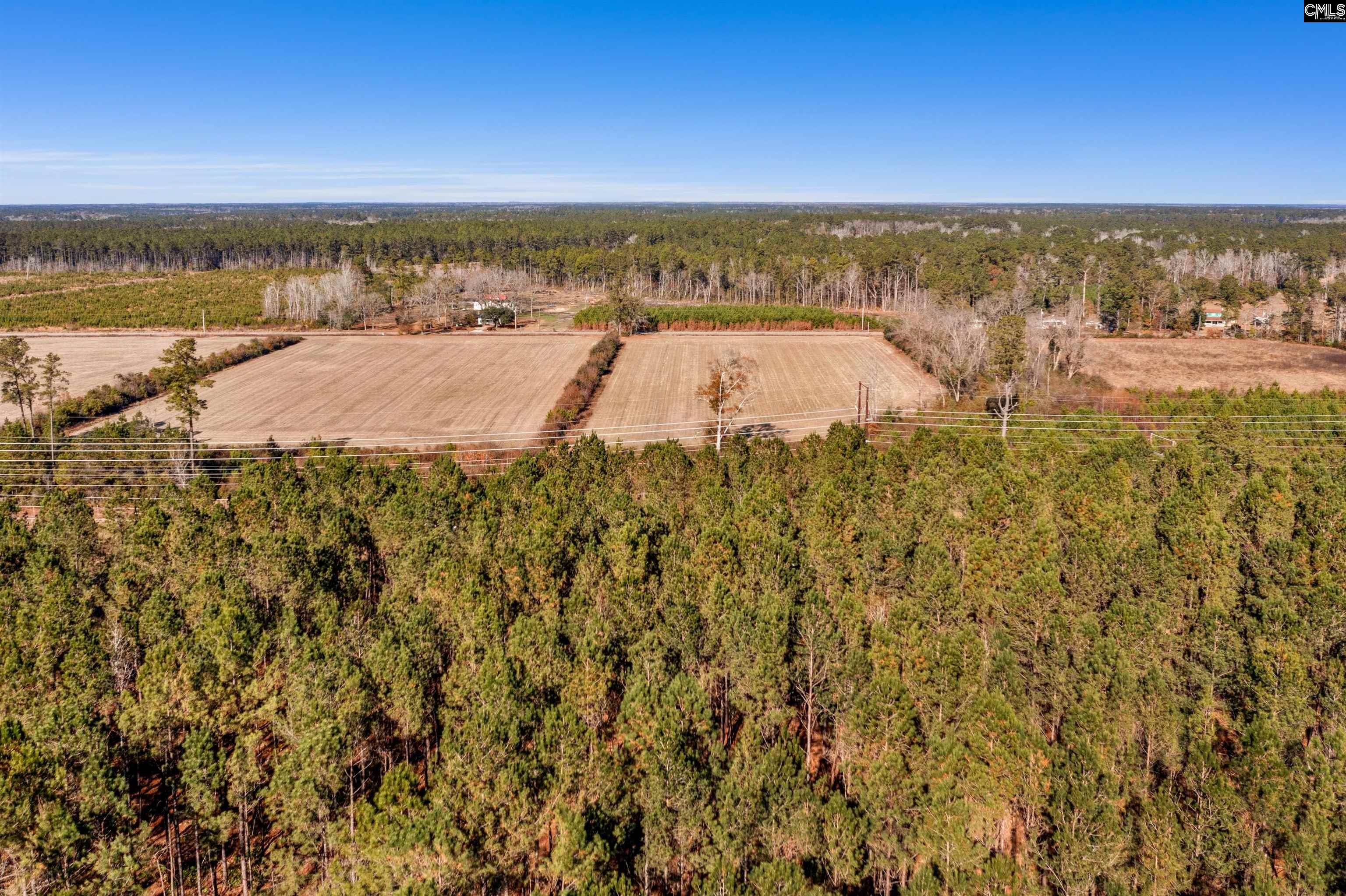 1745 Williams Hill Road #5, Hemingway, South Carolina image 24