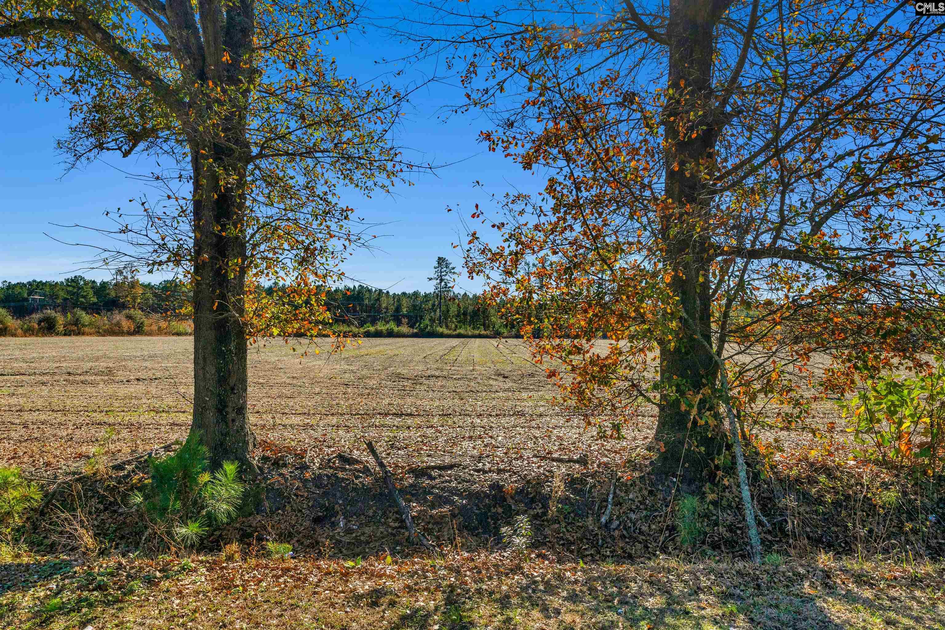 1745 Williams Hill Road #5, Hemingway, South Carolina image 4
