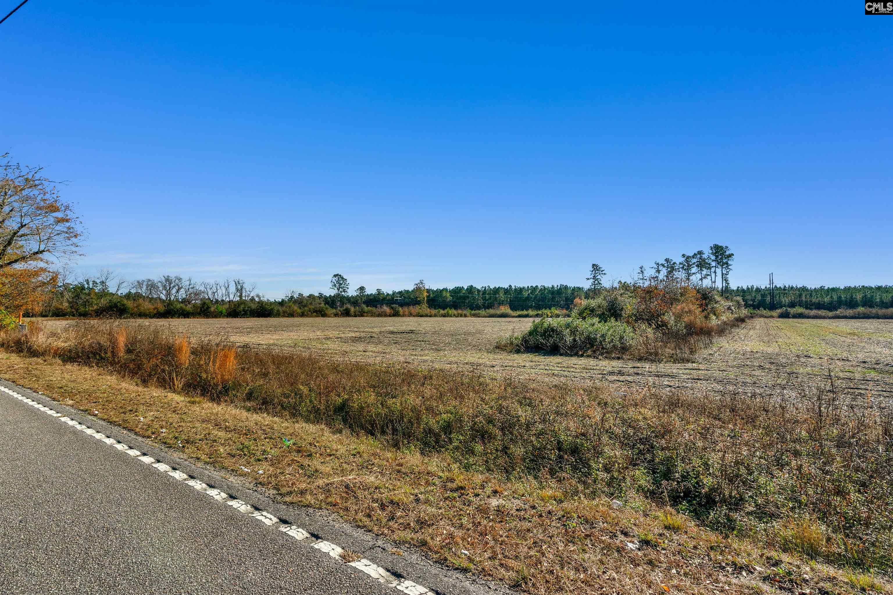 1745 Williams Hill Road #5, Hemingway, South Carolina image 5