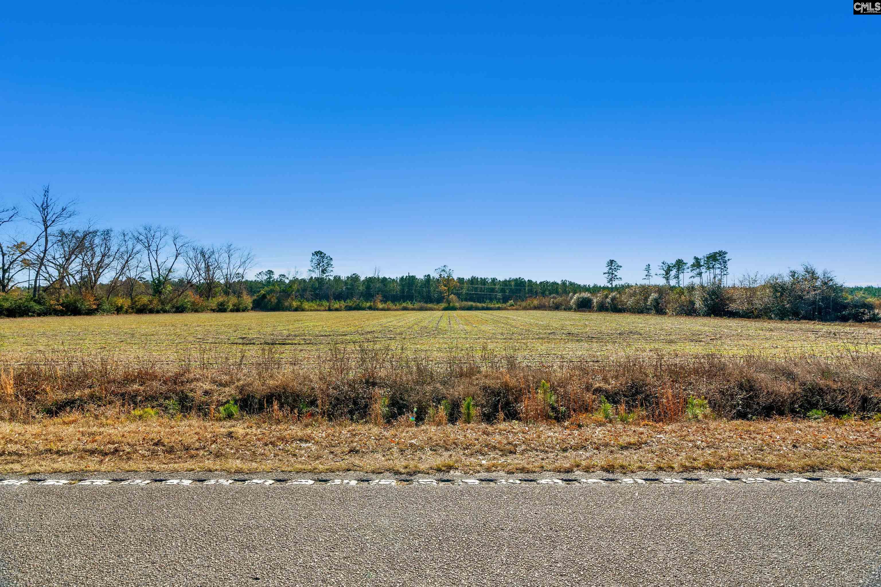 1745 Williams Hill Road #5, Hemingway, South Carolina image 7