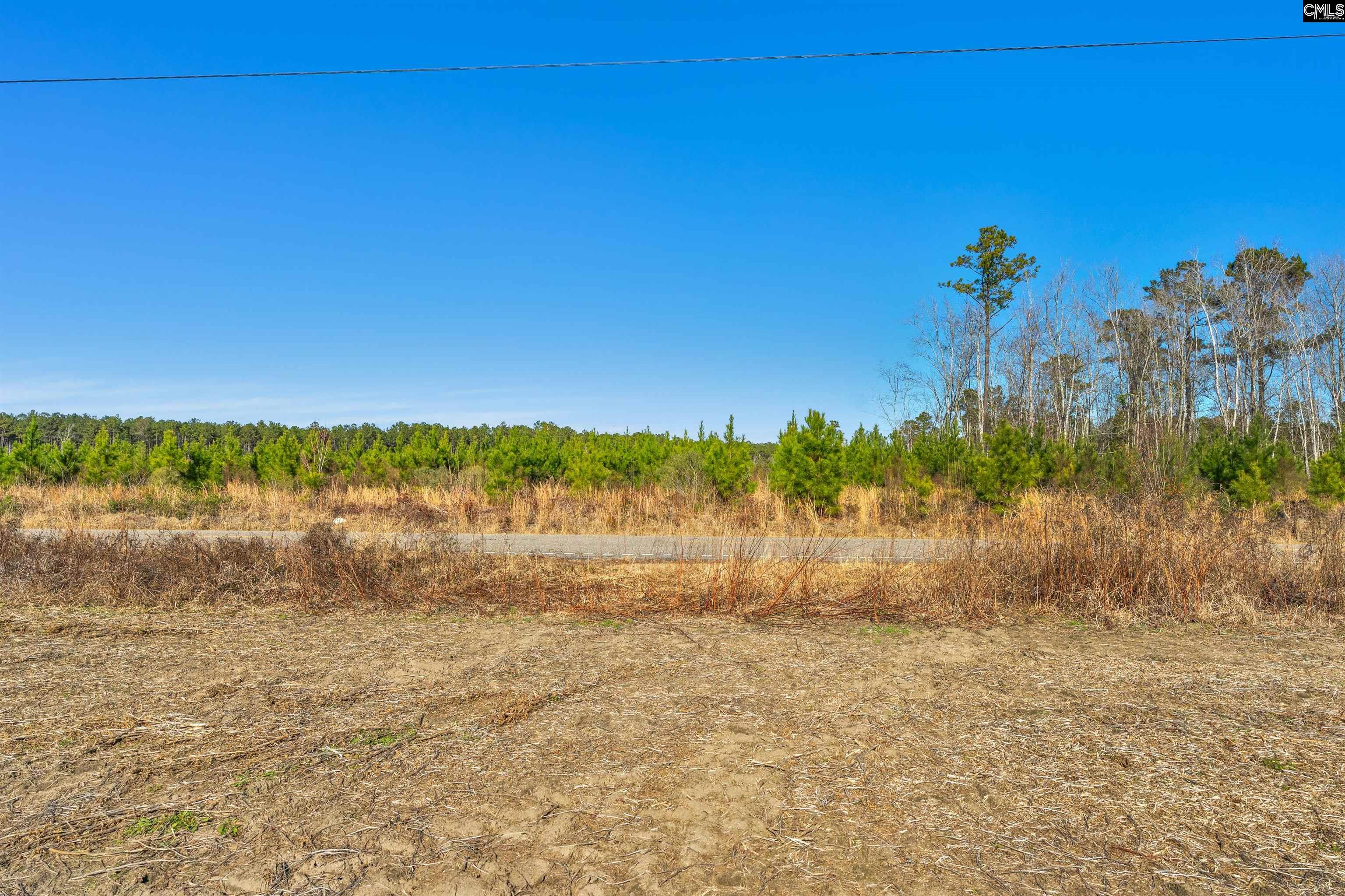 1745 Williams Hill Road #5, Hemingway, South Carolina image 8