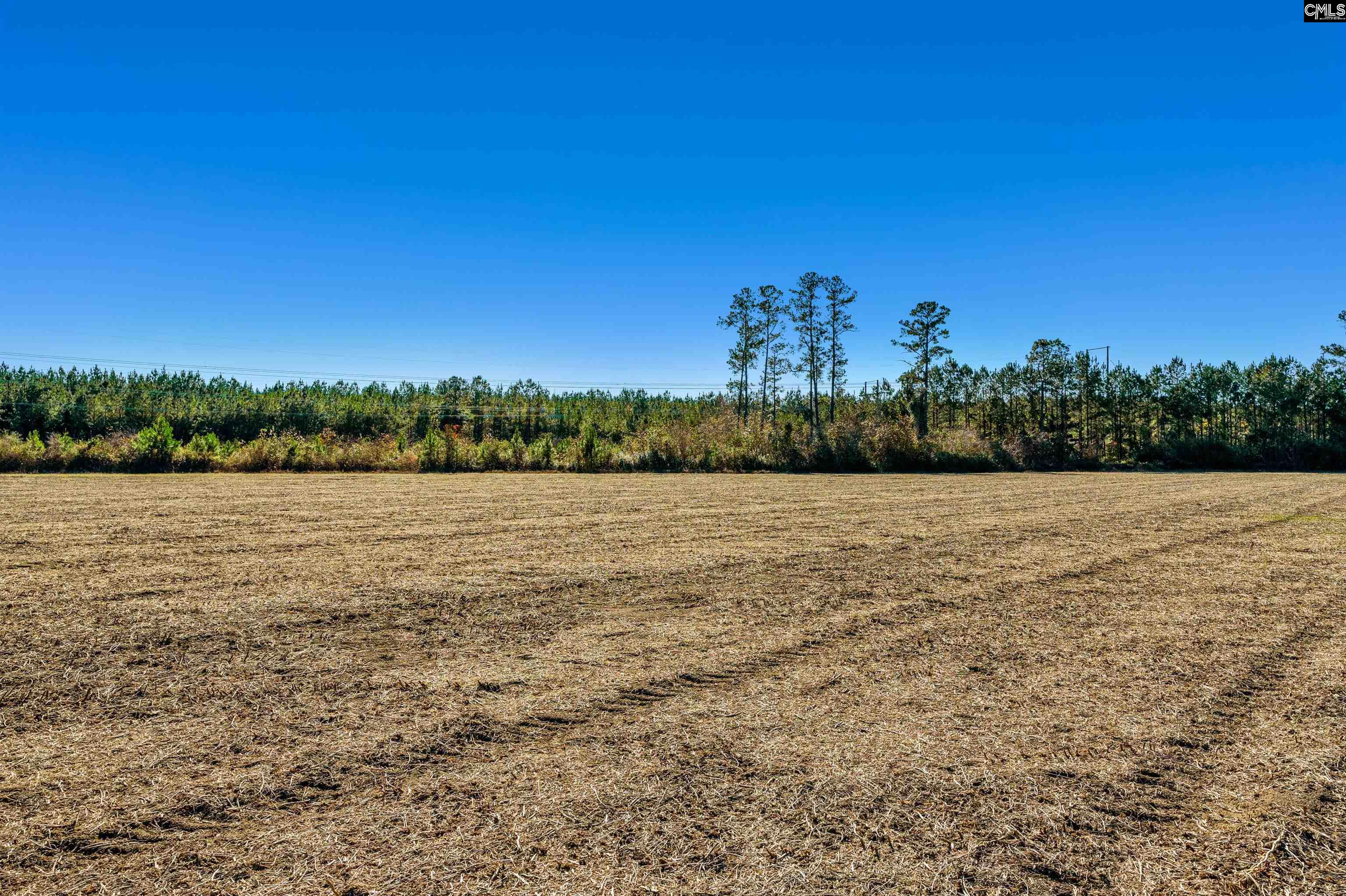 1745 Williams Hill Road #5, Hemingway, South Carolina image 9