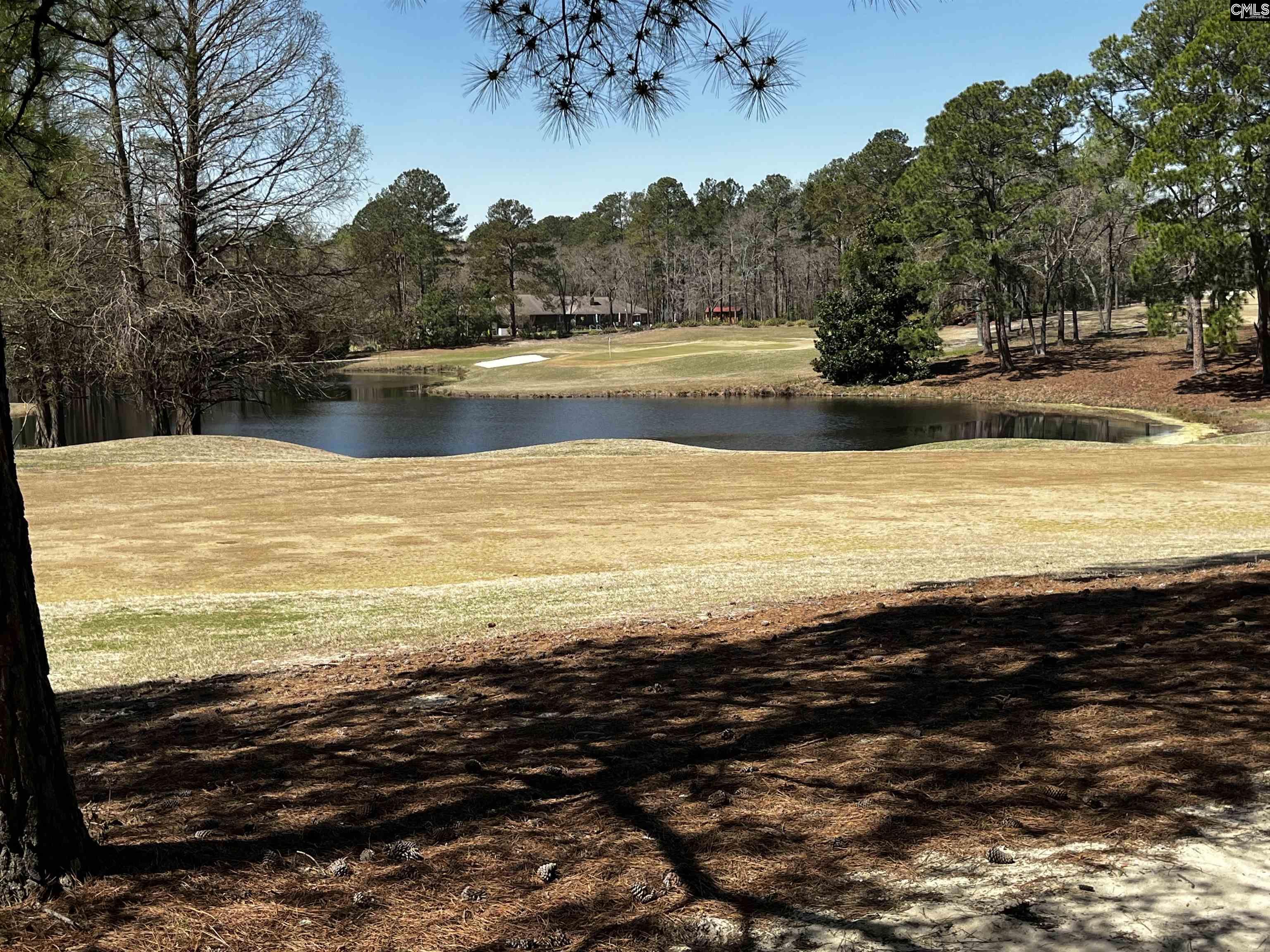 120 Overlook Drive Blythewood, SC 29016