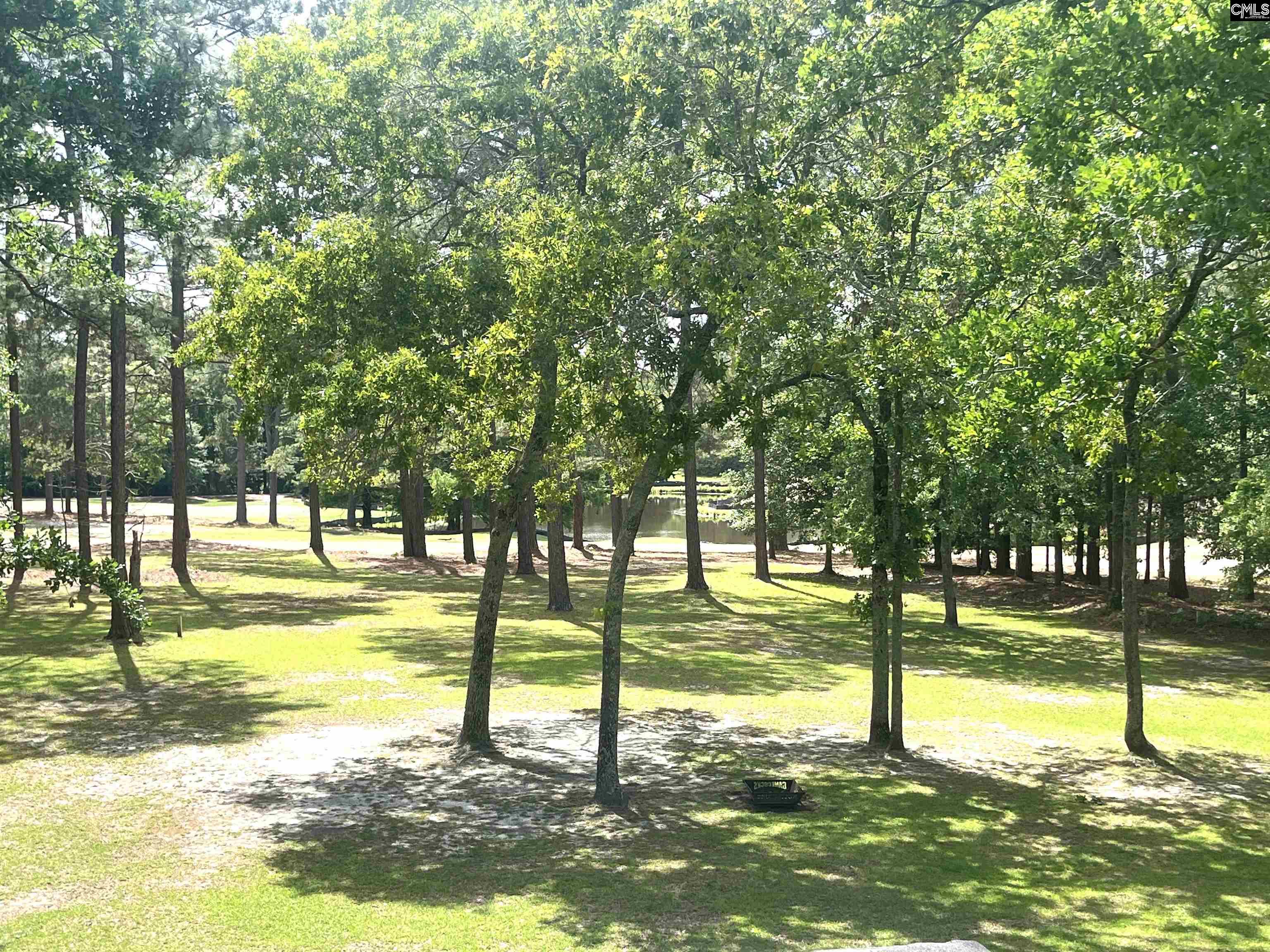 120 Overlook Drive Blythewood, SC 29016