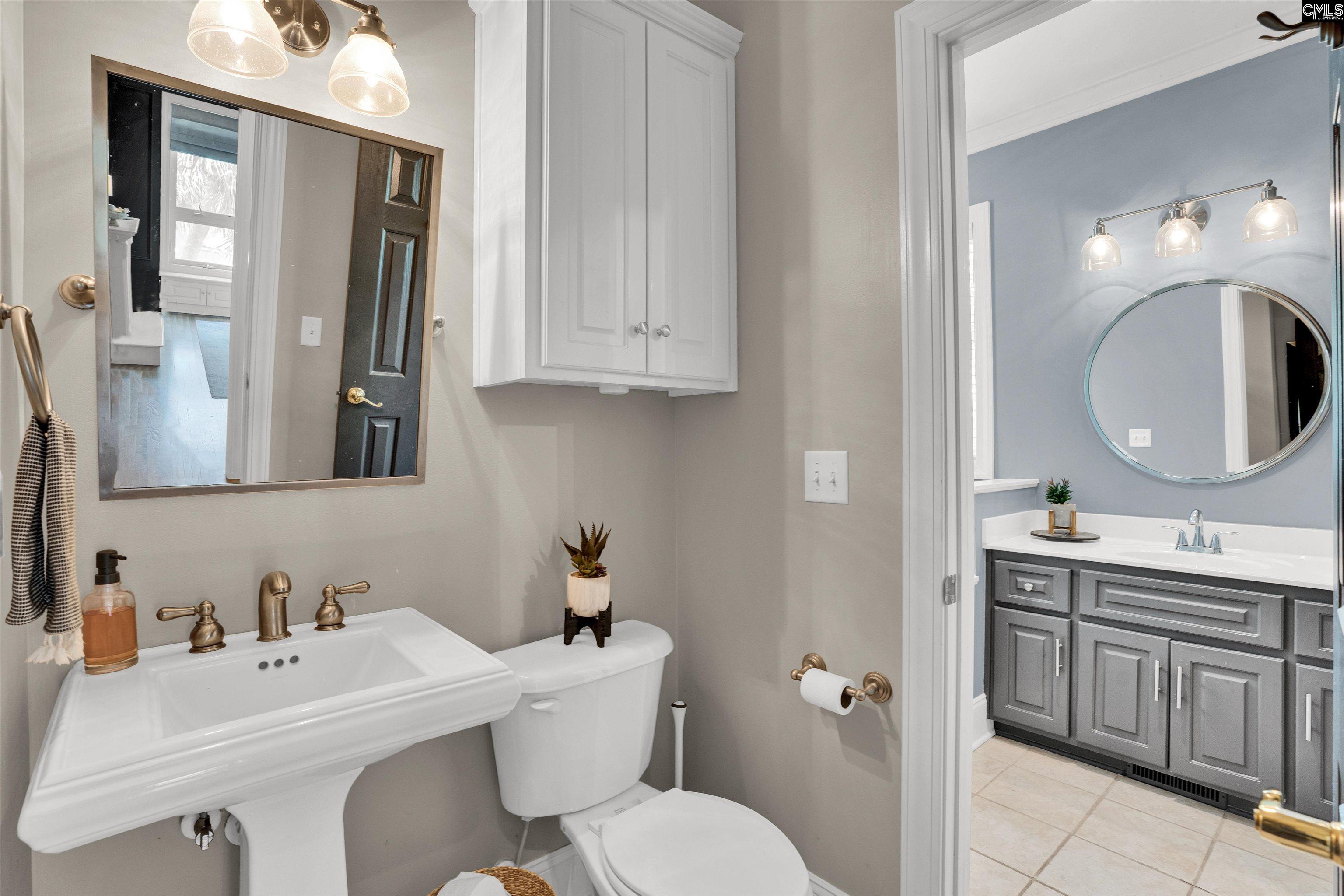 430 Pine Meadow Drive Chapin, SC 29036