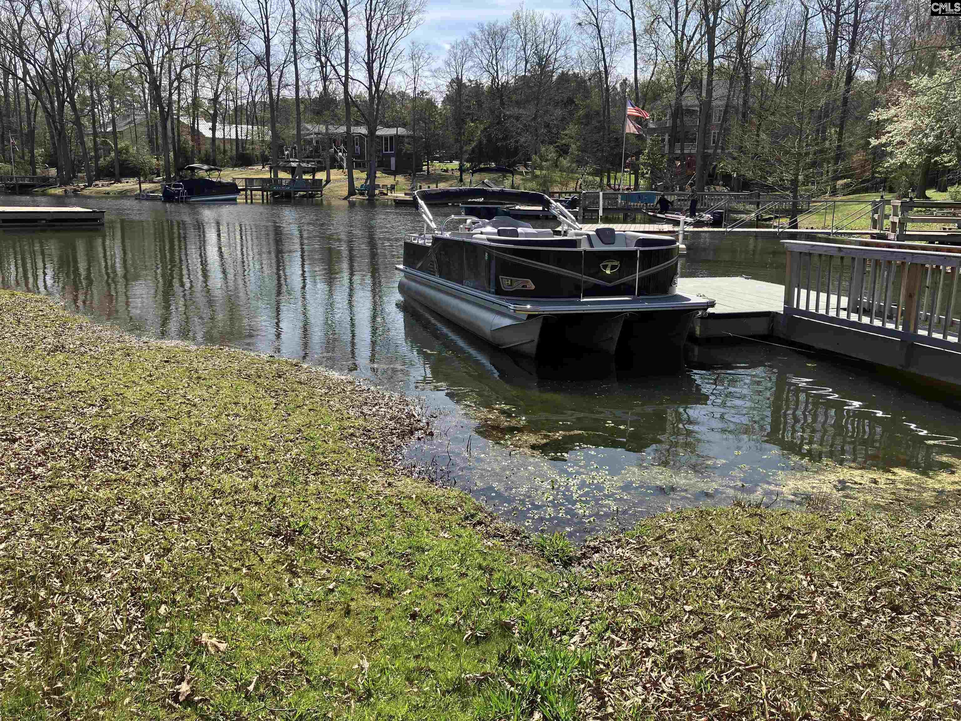 430 Pine Meadow Drive Chapin, SC 29036