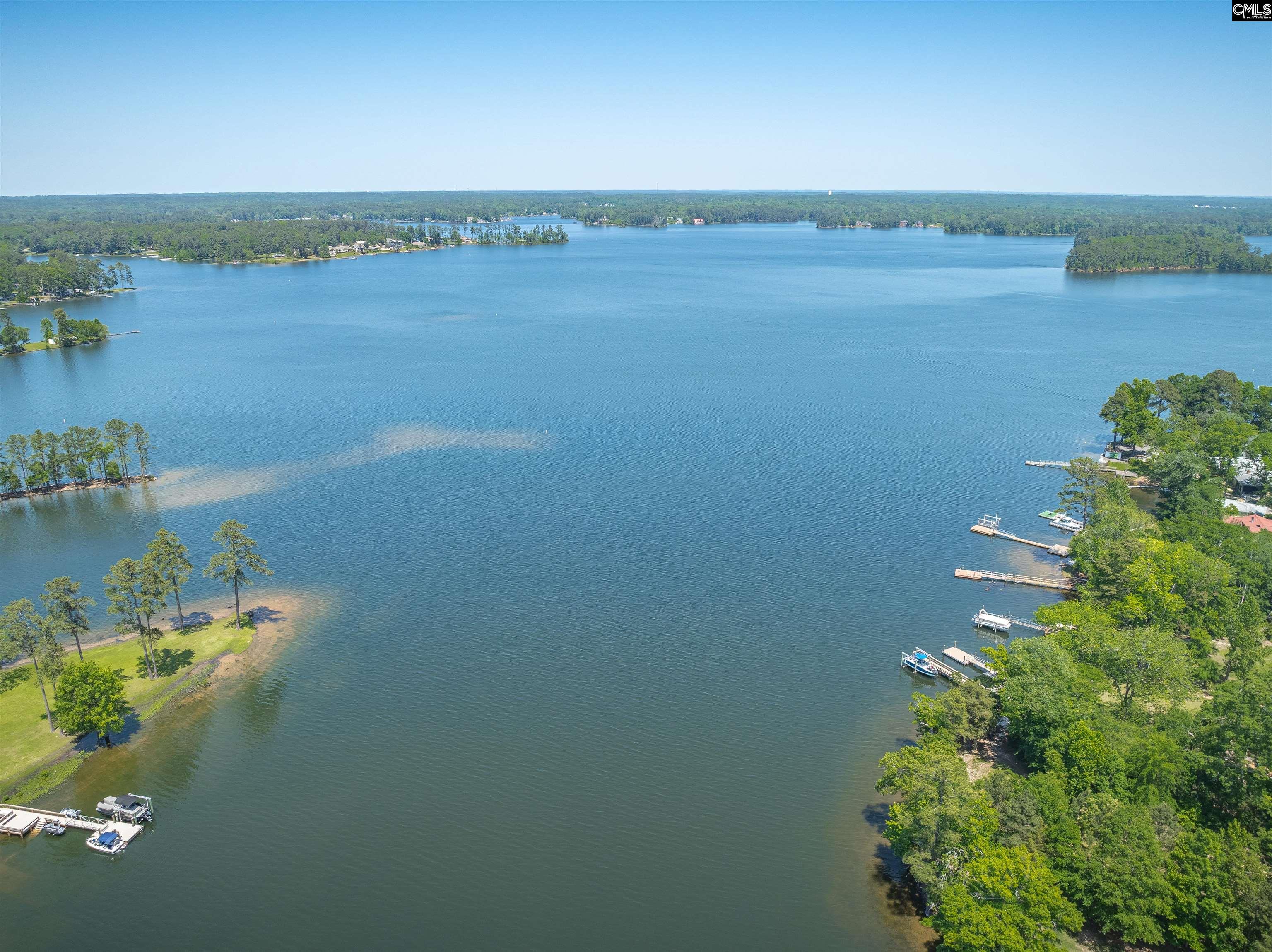 430 Pine Meadow Drive Chapin, SC 29036