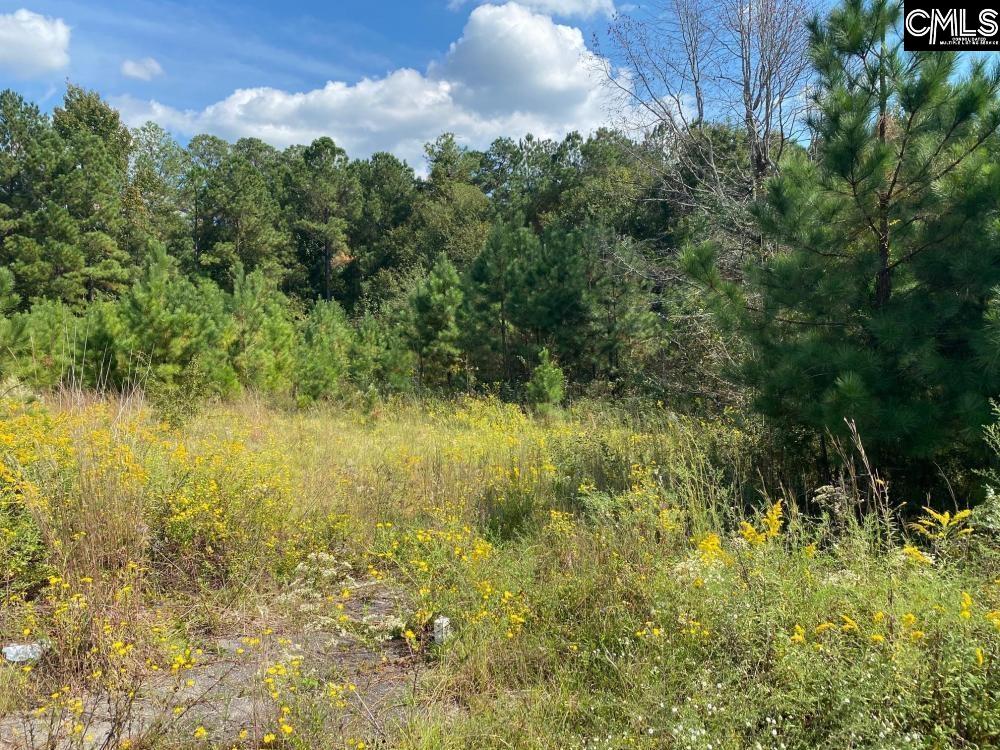 308 Vallenga Road Elgin, SC 29045