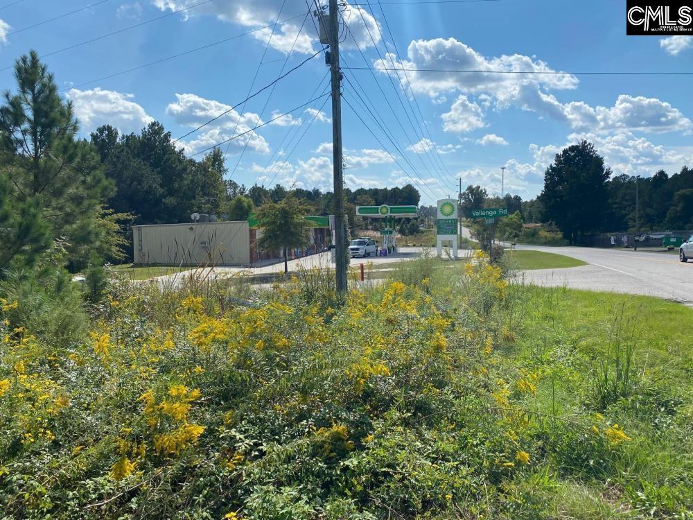 308 Vallenga Road Elgin, SC 29045