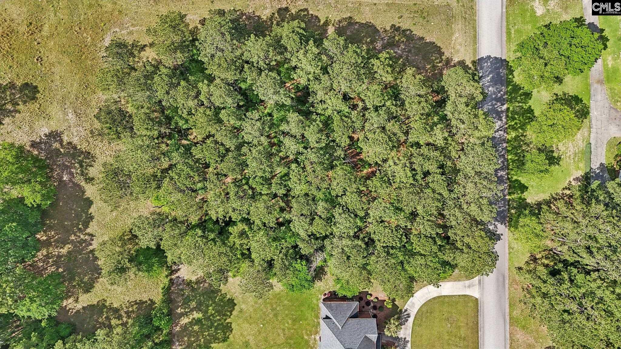 4414 Ramsgate Drive, Orangeburg, South Carolina image 3