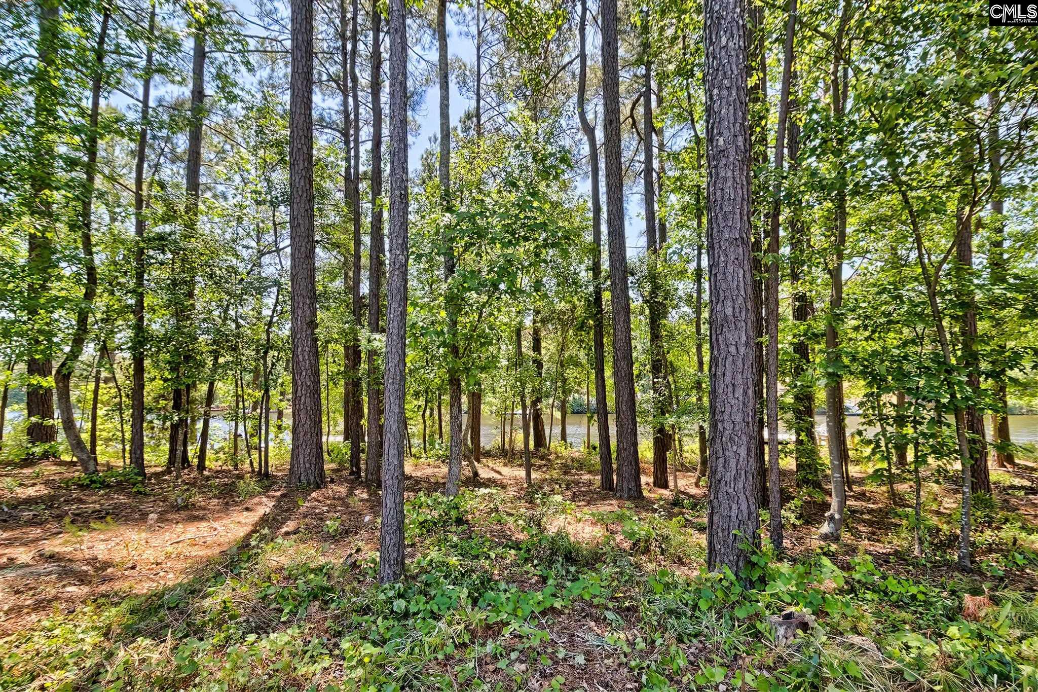 370 Sunnycrest Lane Columbia, SC 29229
