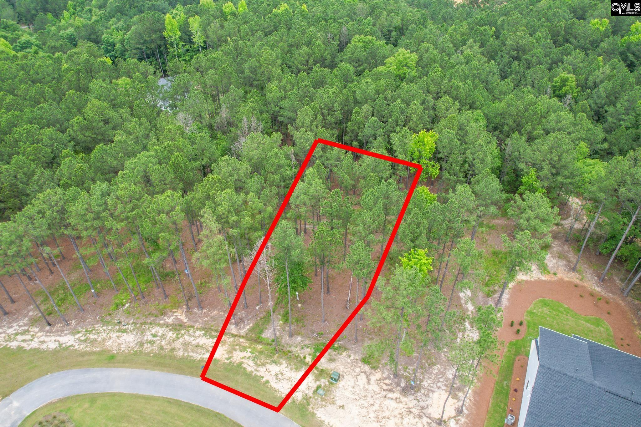 153 Stewart Landing Drive, Prosperity, South Carolina image 3