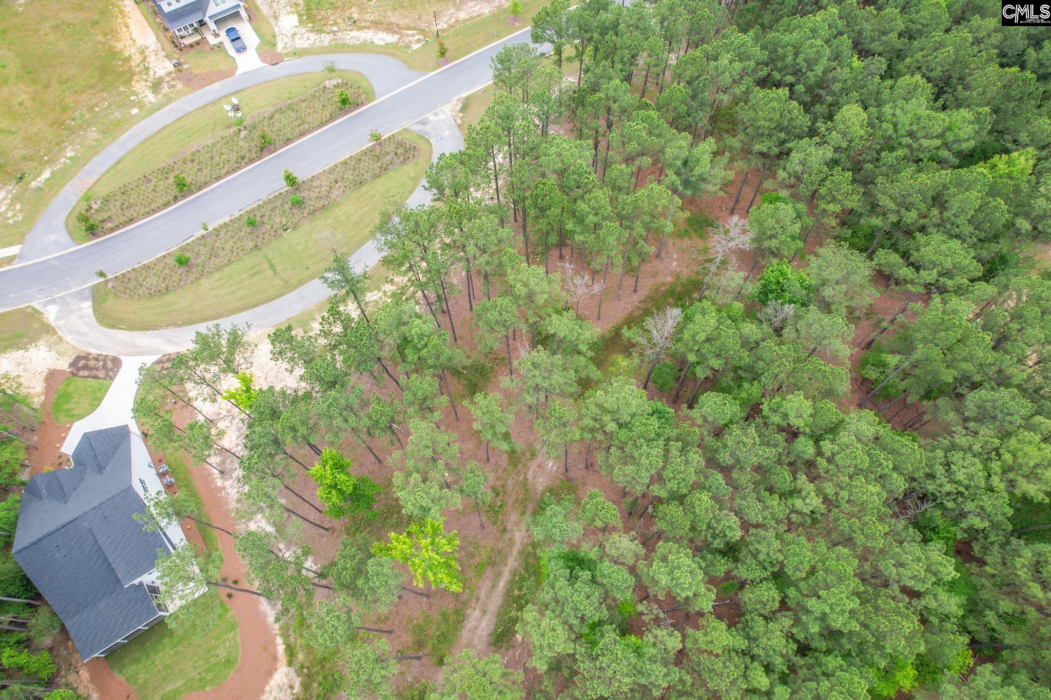 153 Stewart Landing Drive, Prosperity, South Carolina image 4