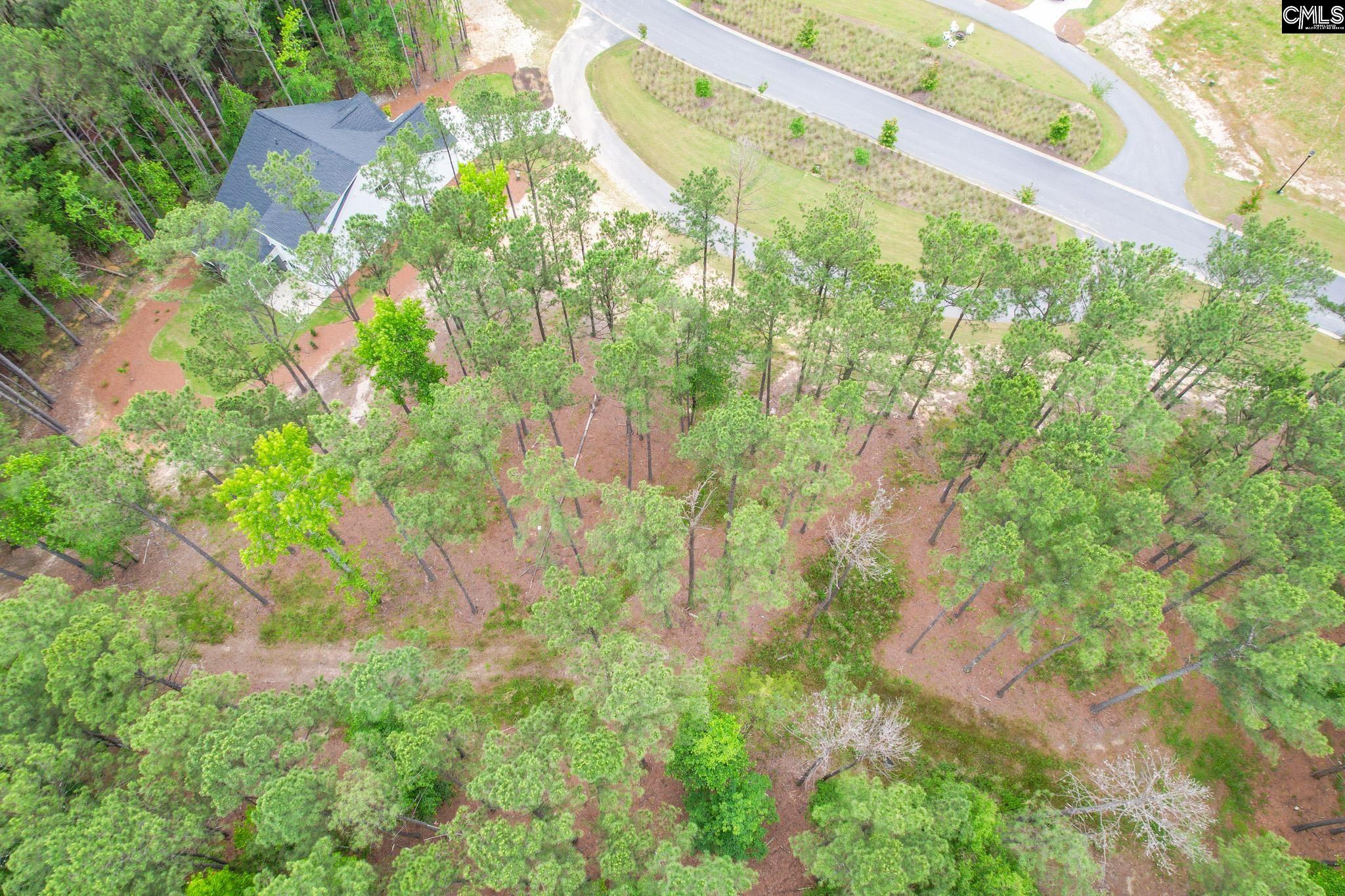 153 Stewart Landing Drive, Prosperity, South Carolina image 5