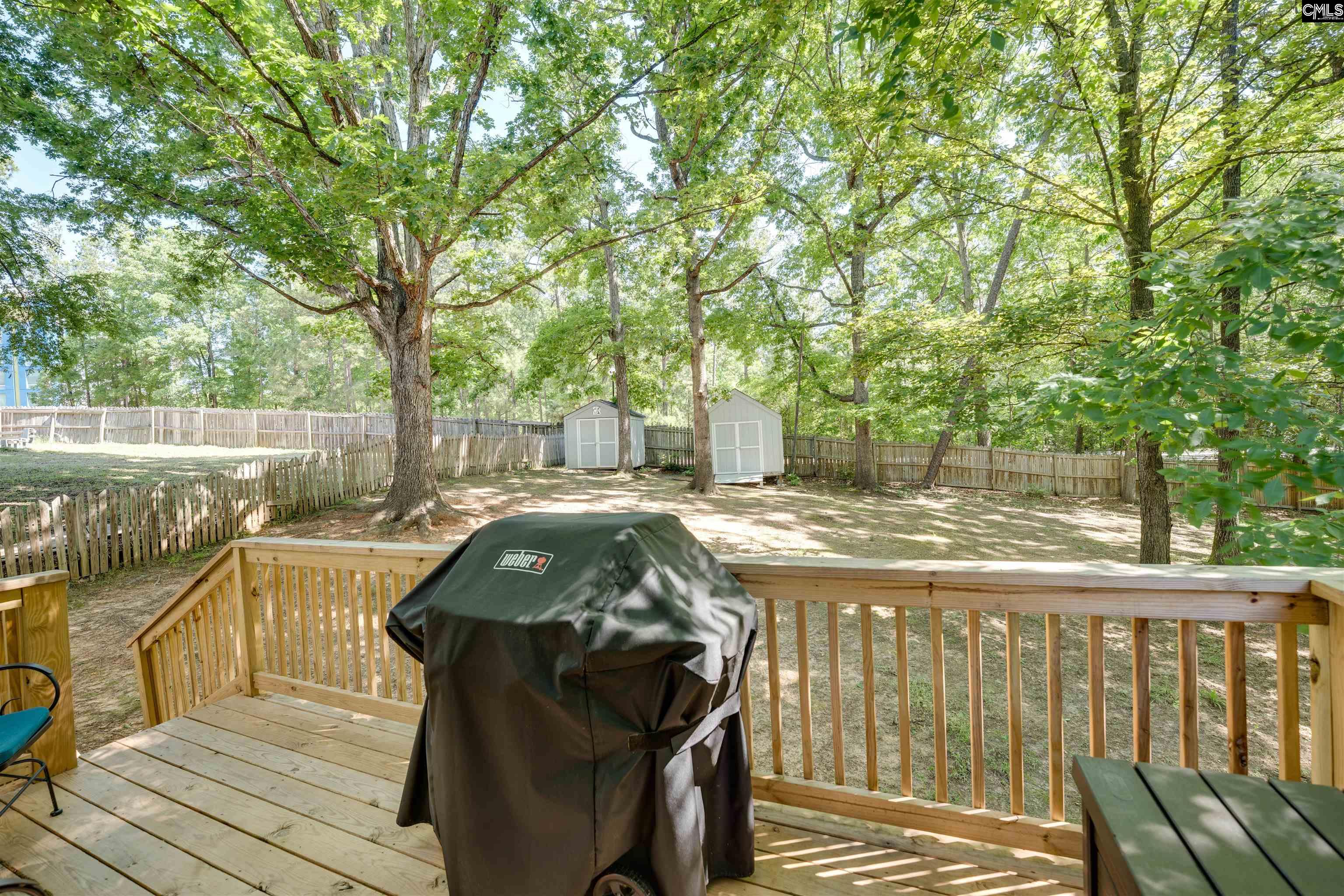 29 Pioneers Point Court, Irmo, South Carolina image 29