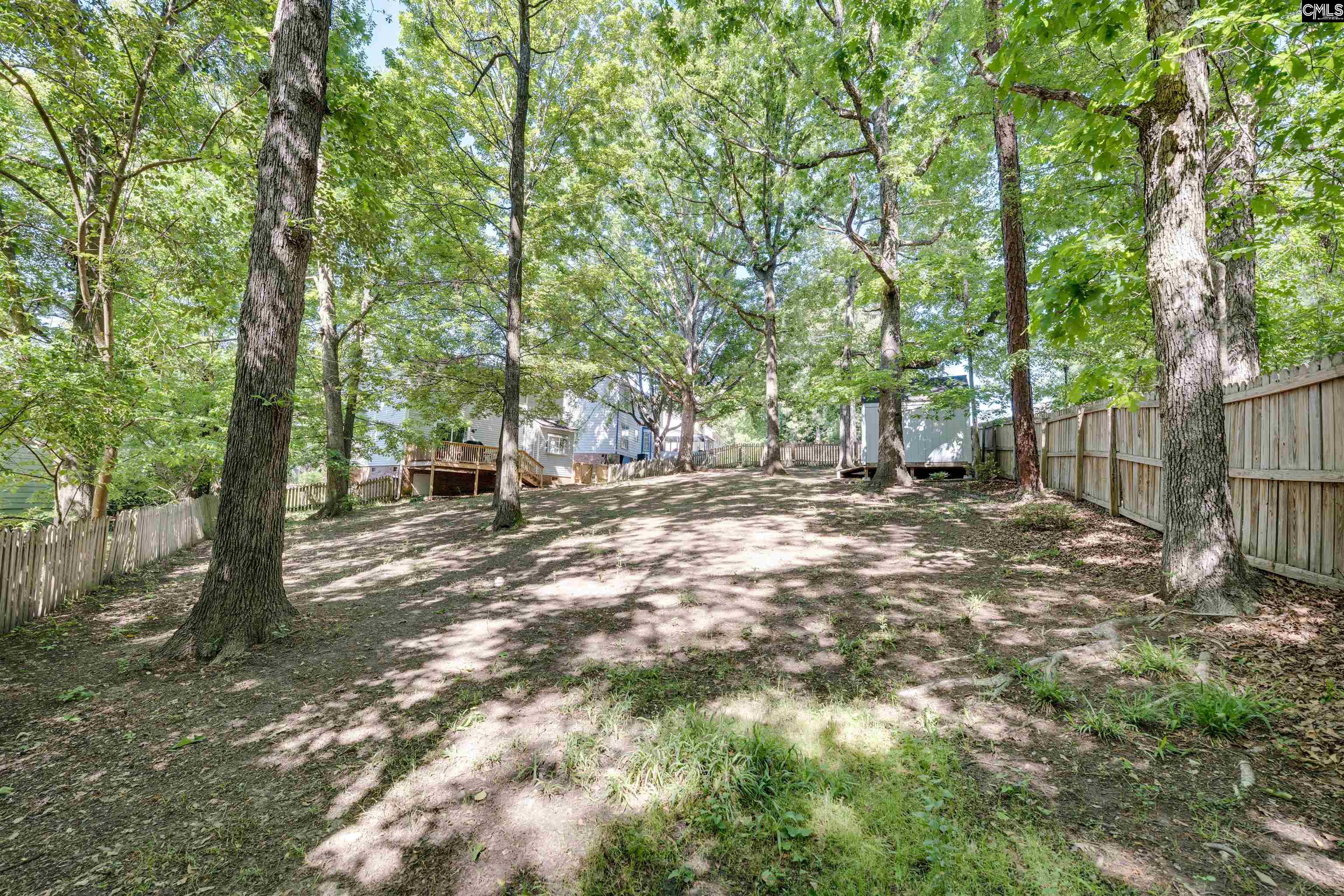 29 Pioneers Point Court, Irmo, South Carolina image 35