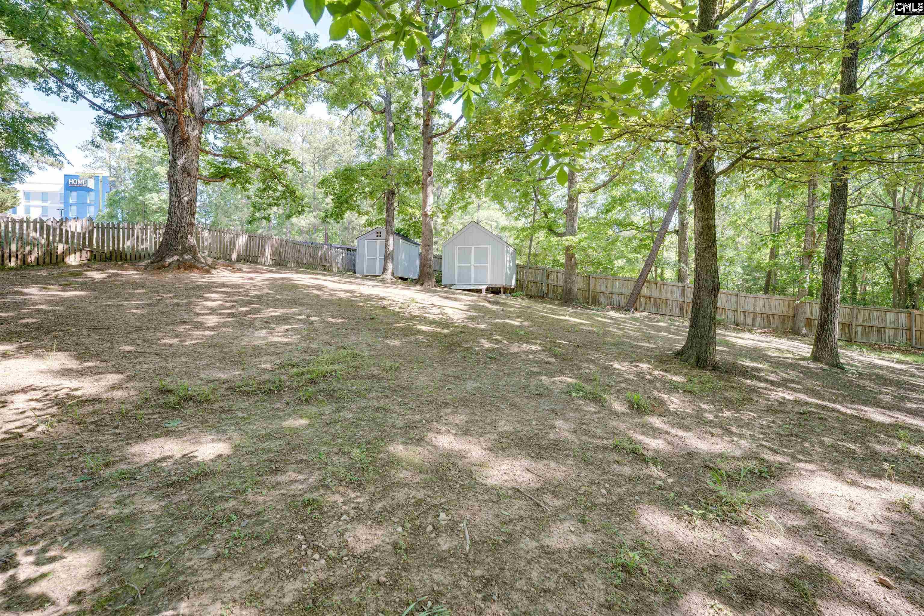 29 Pioneers Point Court, Irmo, South Carolina image 36