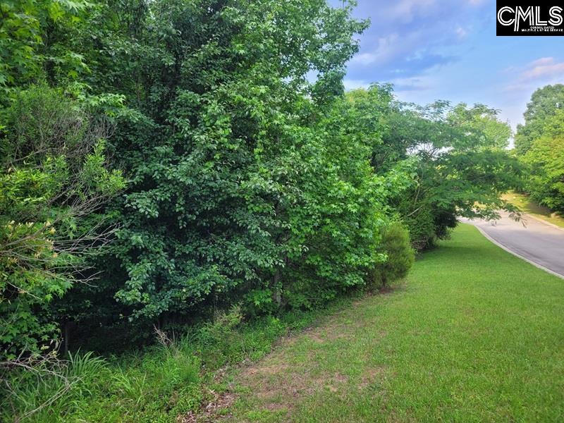 105 River Bluff Court Columbia, SC 29210