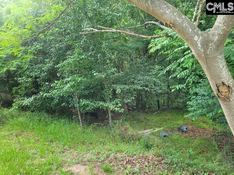 105 River Bluff Court Columbia, SC 29210