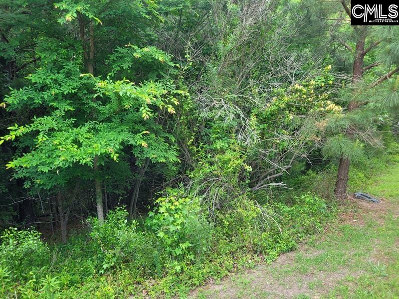 105 River Bluff Court Columbia, SC 29210