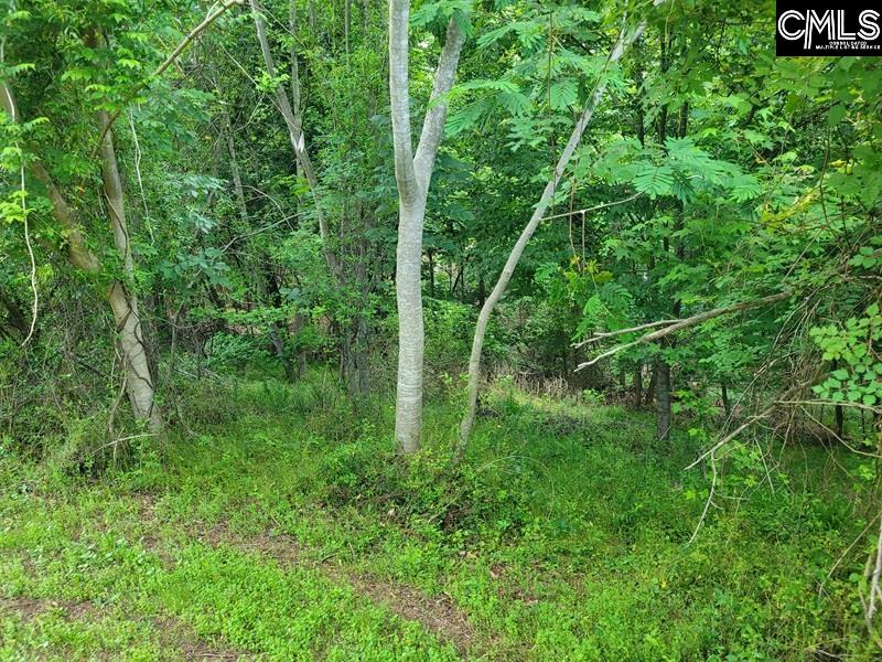 105 River Bluff Court Columbia, SC 29210