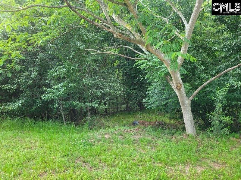 105 River Bluff Court Columbia, SC 29210