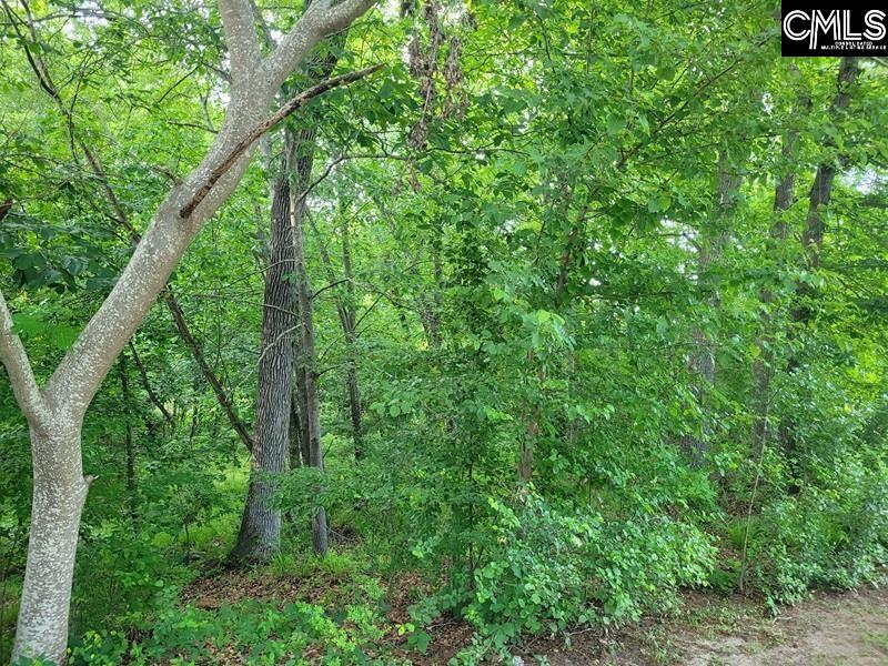 105 River Bluff Court Columbia, SC 29210