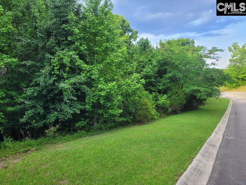 105 River Bluff Court Columbia, SC 29210
