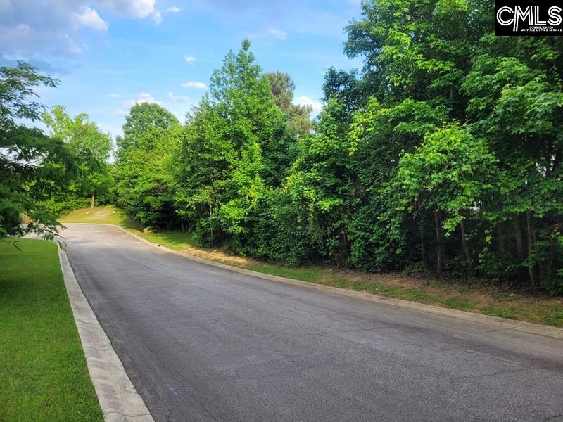 105 River Bluff Court Columbia, SC 29210