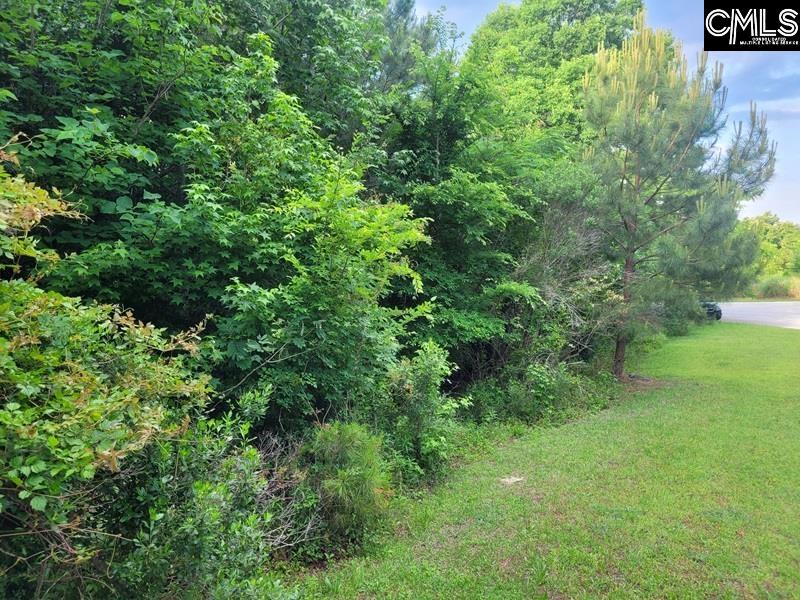 105 River Bluff Court Columbia, SC 29210