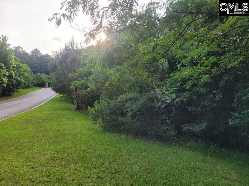 105 River Bluff Court Columbia, SC 29210