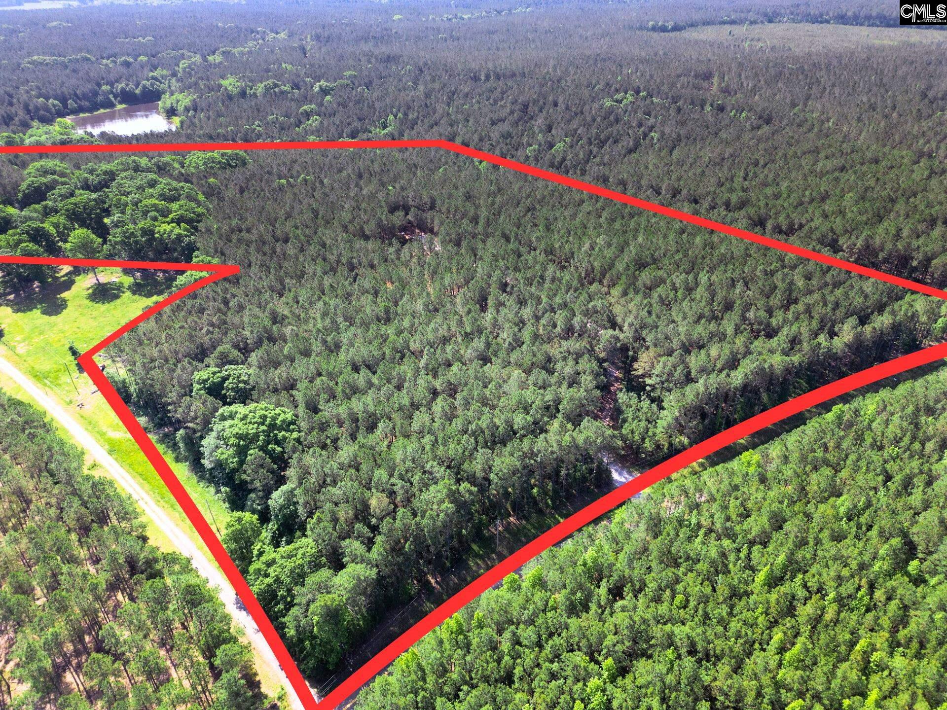 Ouzts Road, EDGEFIELD, South Carolina image 2