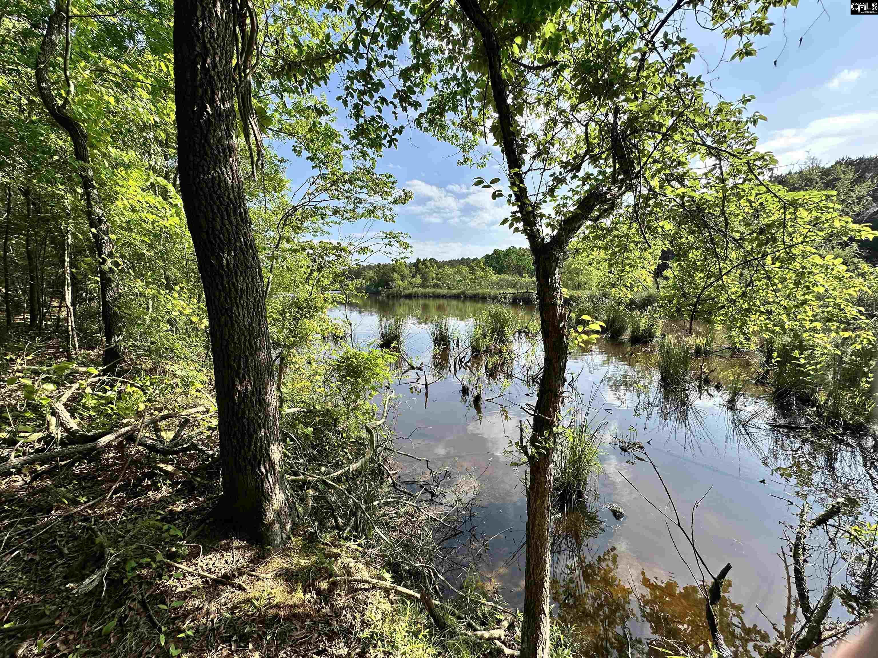 Ouzts Road, EDGEFIELD, South Carolina image 19