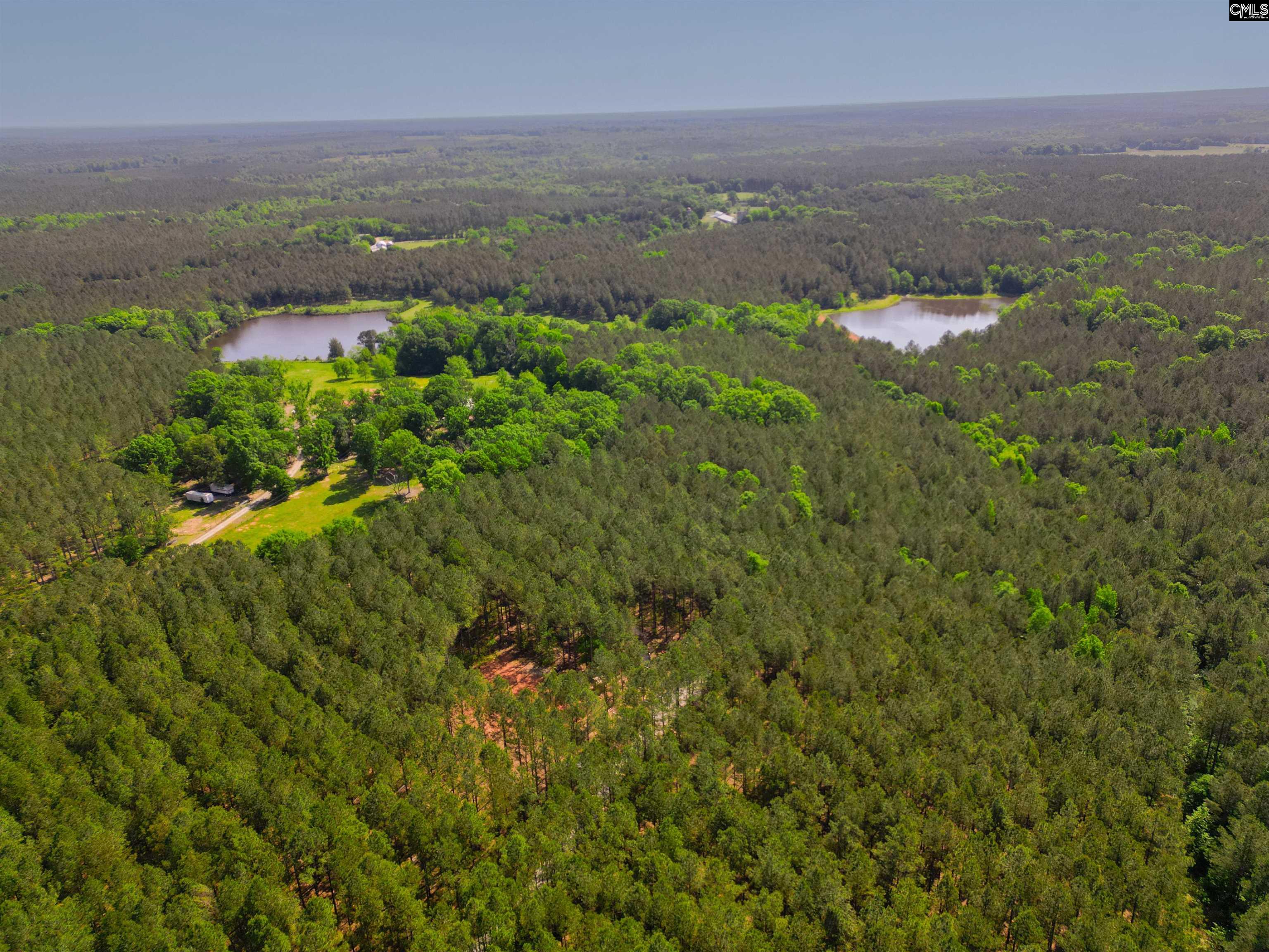 Ouzts Road, EDGEFIELD, South Carolina image 3