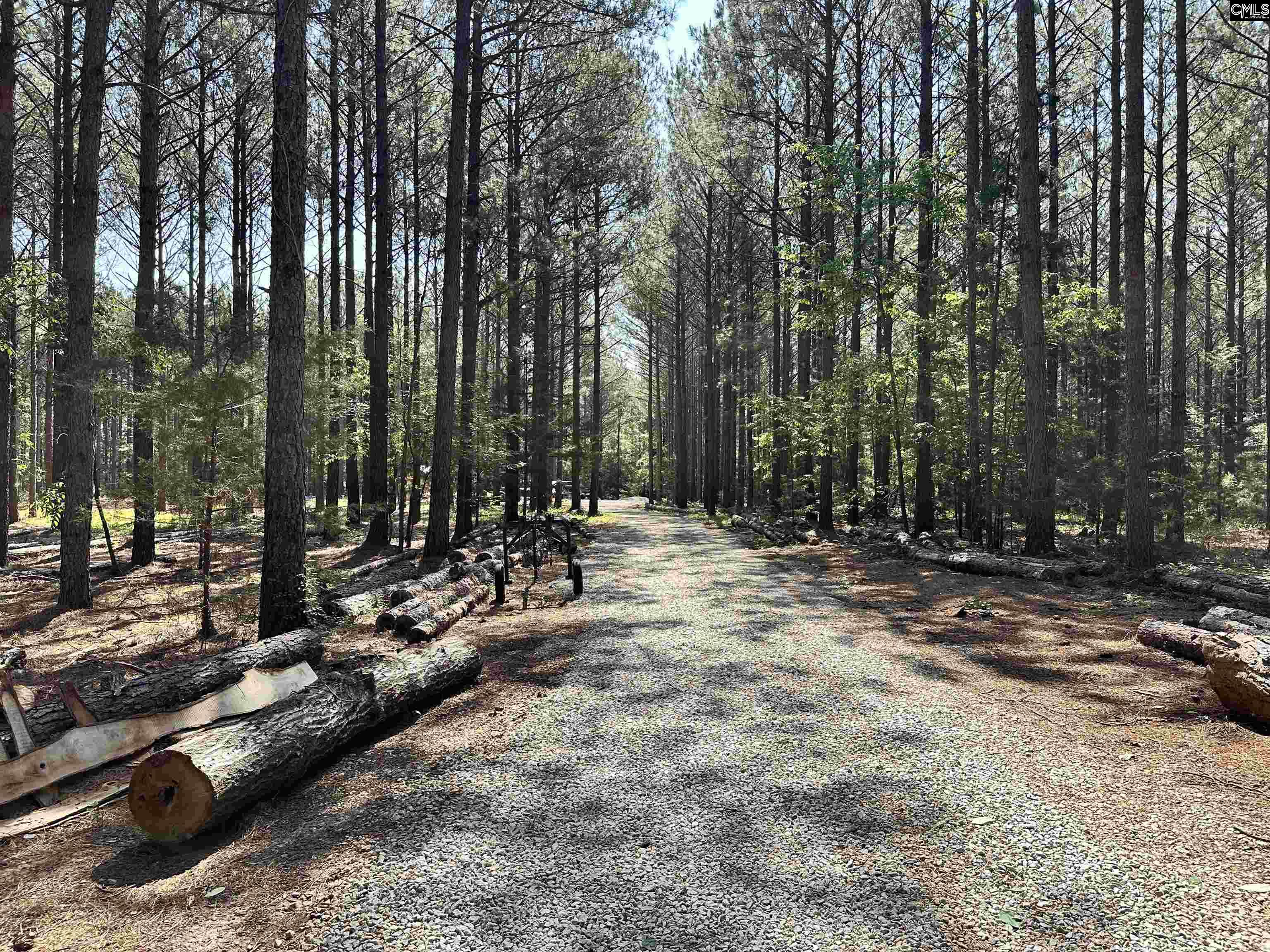 Ouzts Road, EDGEFIELD, South Carolina image 27