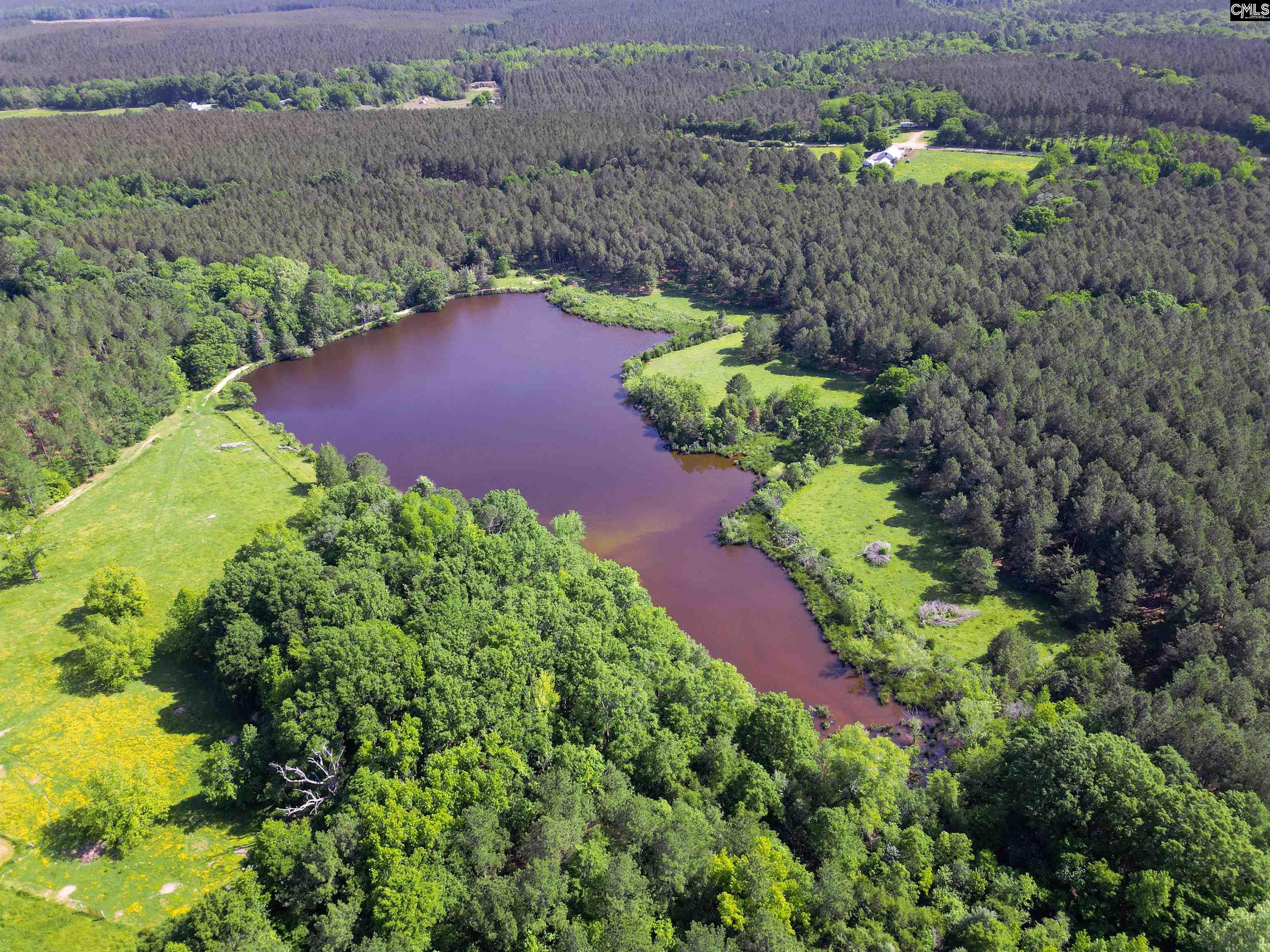 Ouzts Road, EDGEFIELD, South Carolina image 6